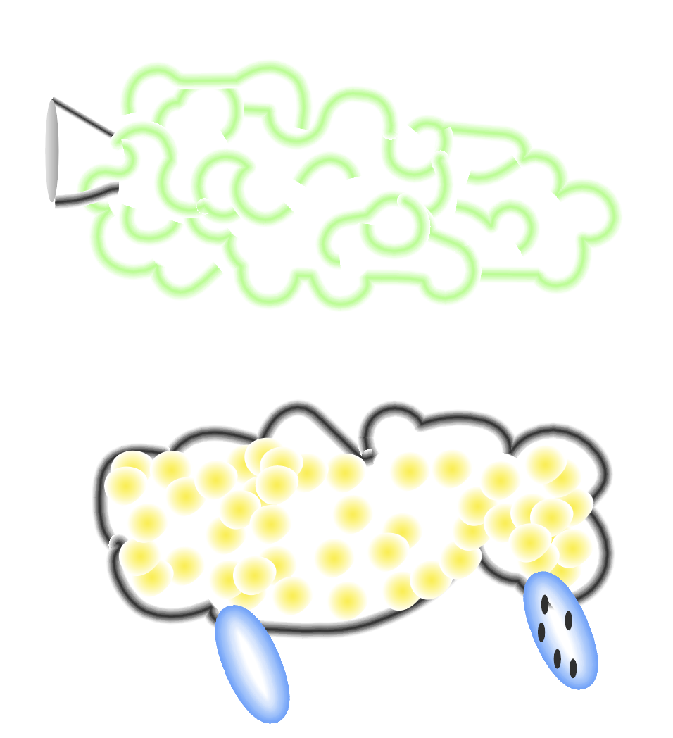 「 a Balsam Pear and a Corn Car 」