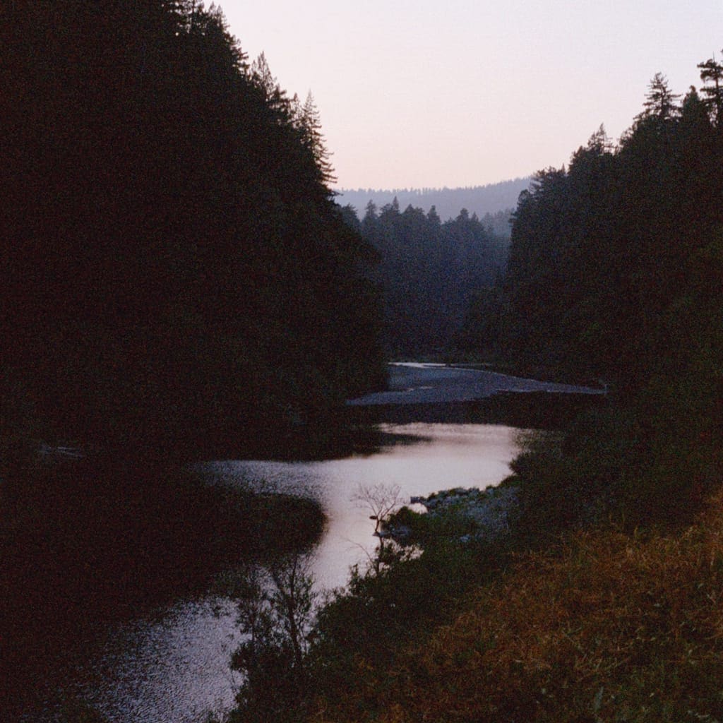 transience #25 with Lou Drago and Sybil