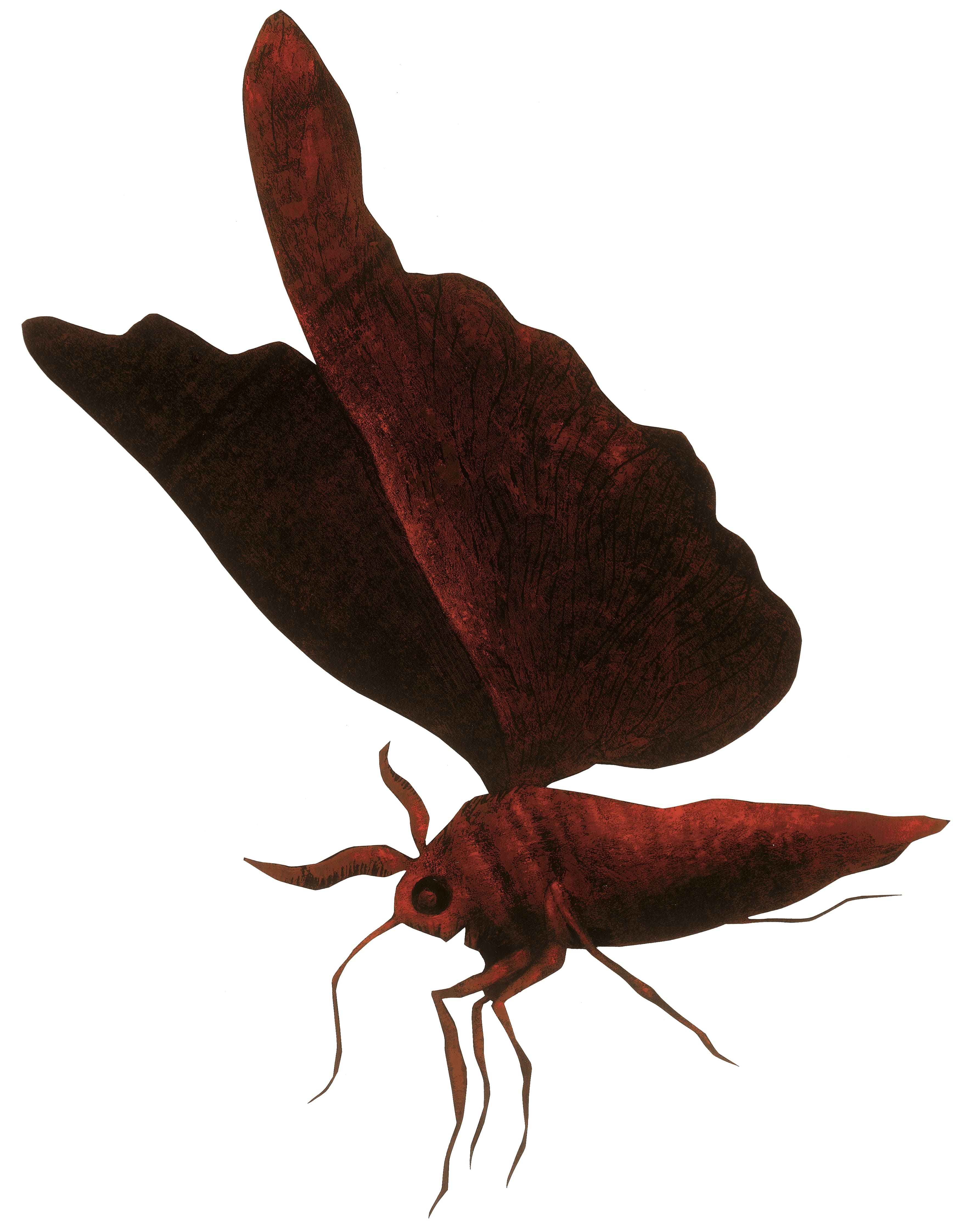 MothLinocut printed in red oil on black paperSerie: Haensel and Gretel/Text: The Brothers GrimmÉditions Être, Publisher: Paris Hinstorff, Rostock, 2007