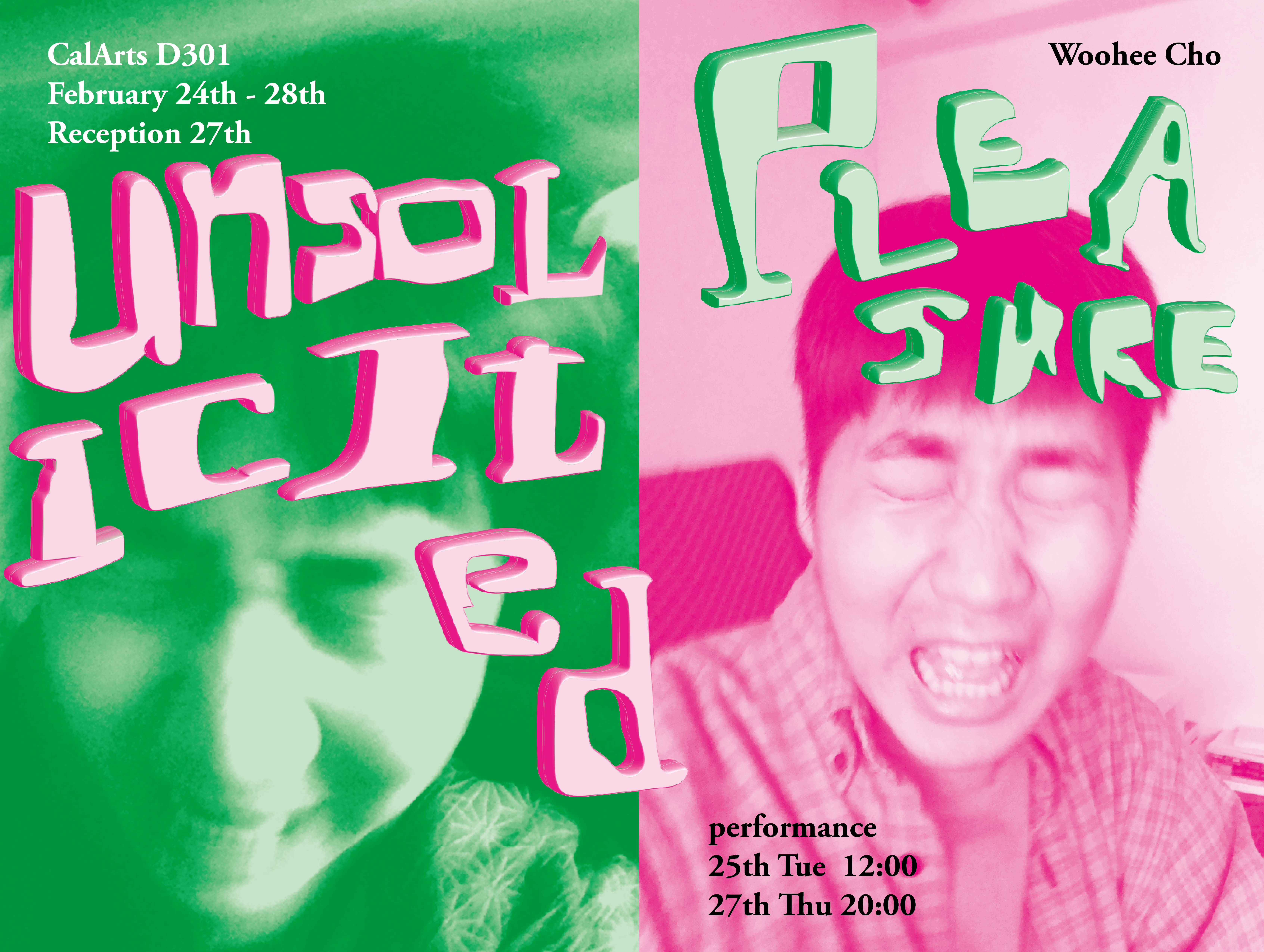 unsolicited pleasure, exhibition poster (digital version)