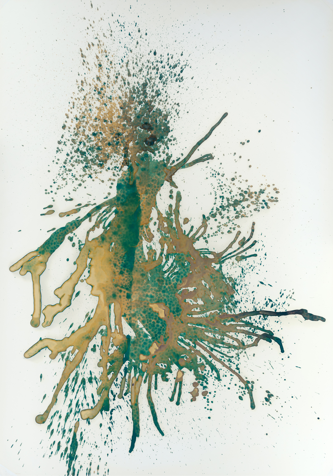 © Mathilde DE L'ECOTAIScyanotype n°11, 2023