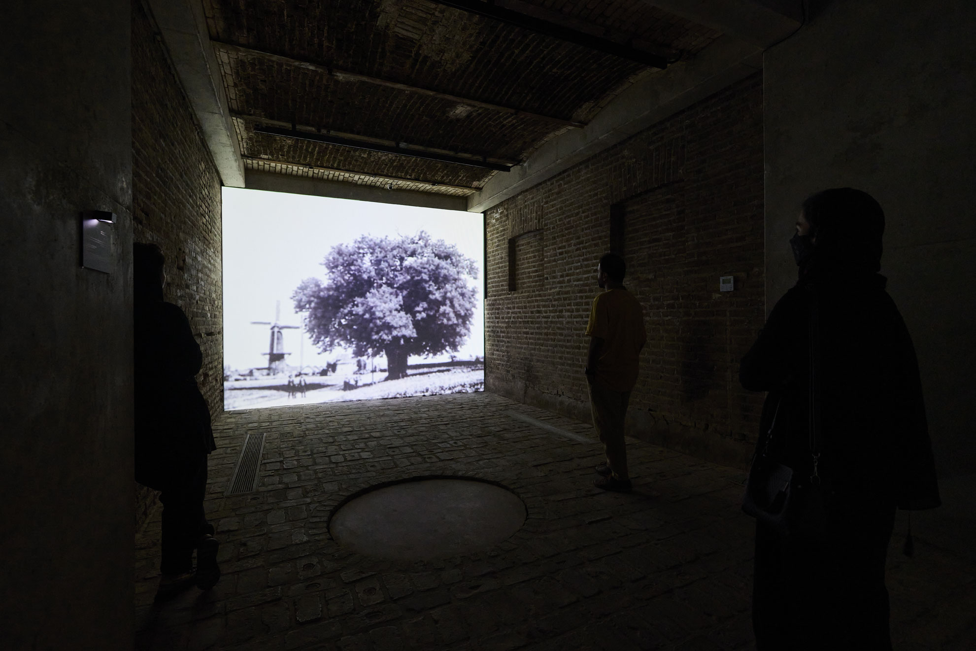 Video at Large. from the collection of the Musée d'Art Moderne de Paris at Pejman Foundation: Argo Factory, Tehran, 2021 (photo: Hamid Eskandari)