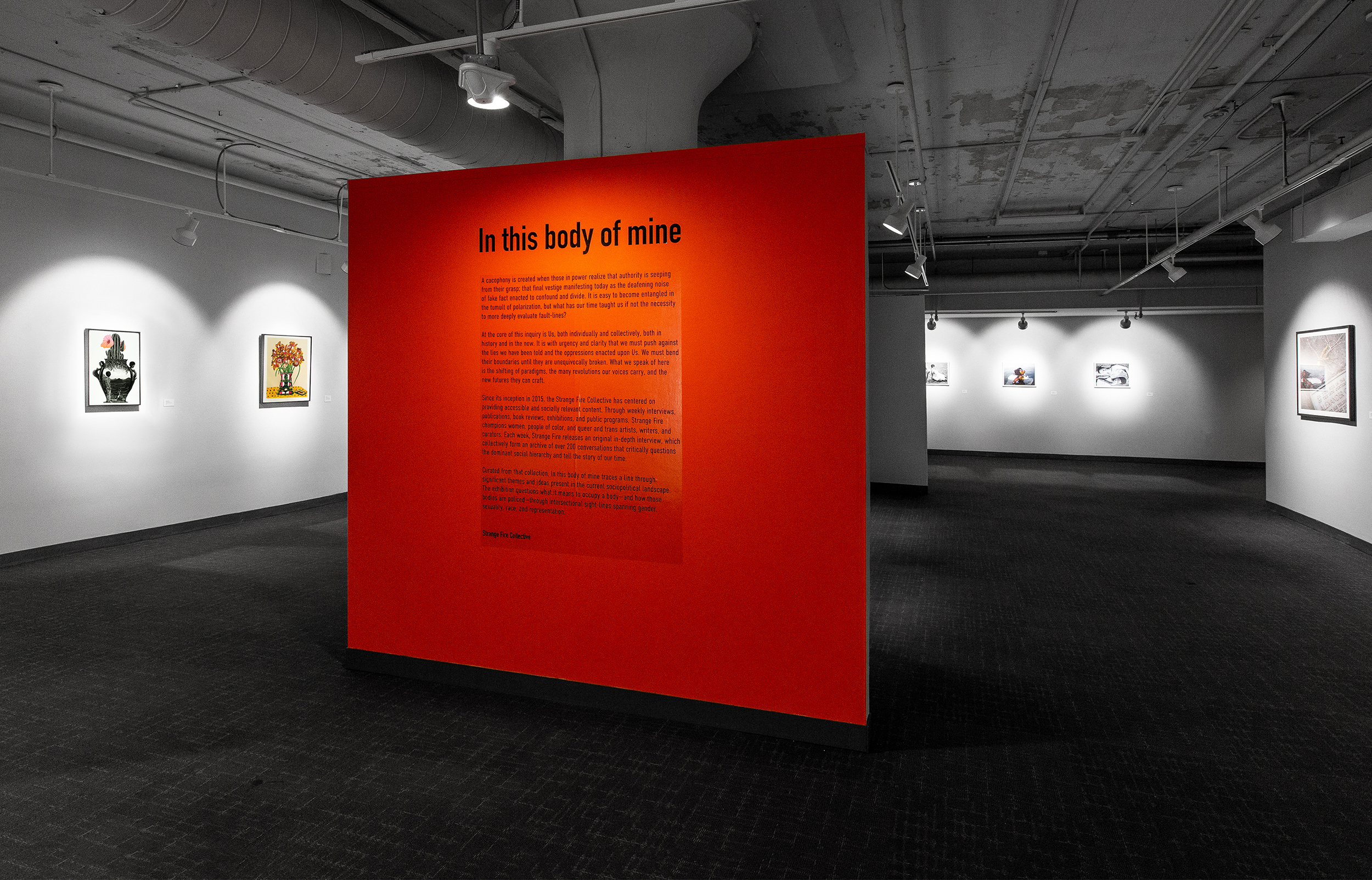 In this body of mine, Milwaukee Institute of Art & Design, 2019
