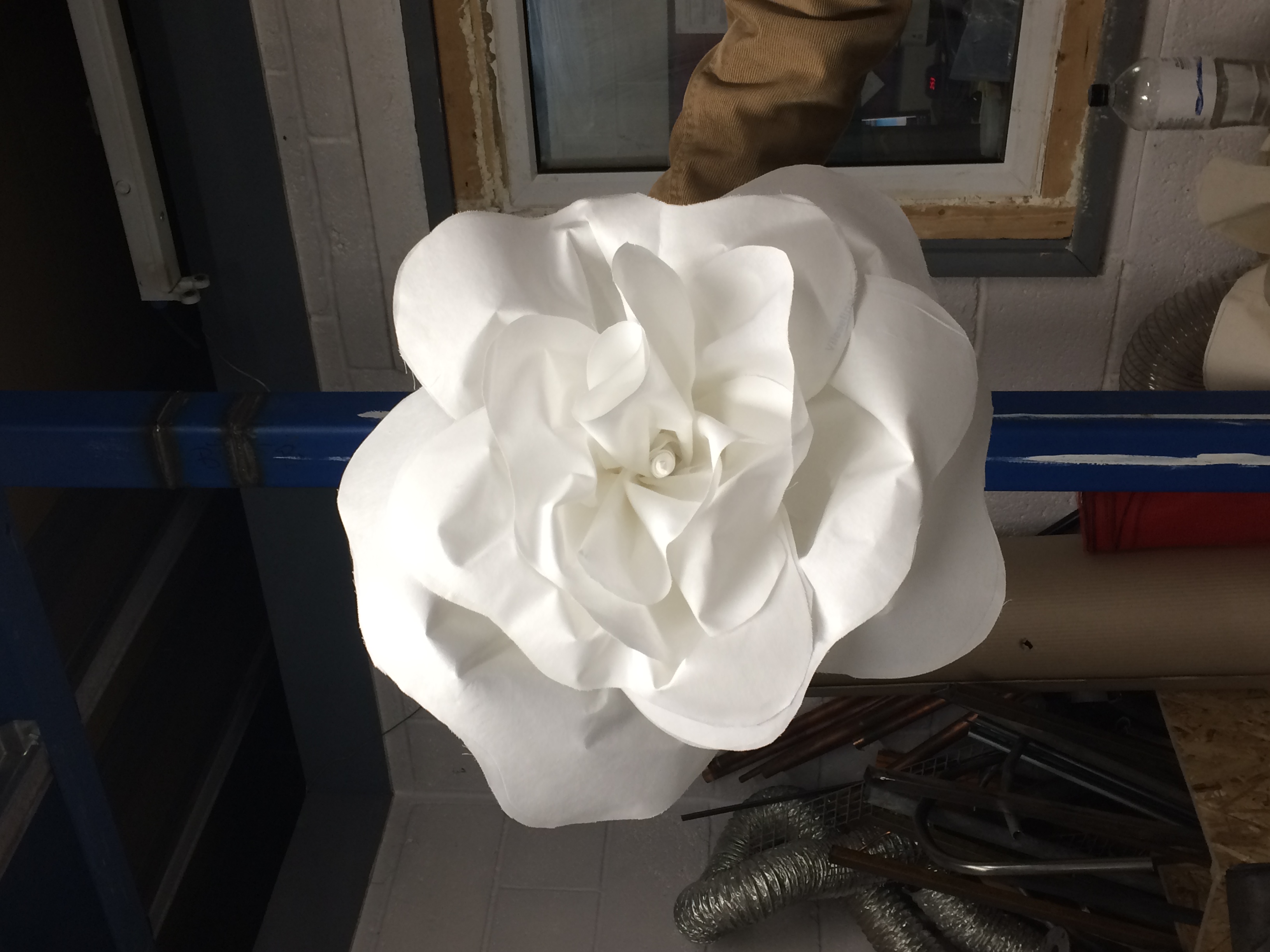 TELL ME THE TRUTH ABOUT LOVE