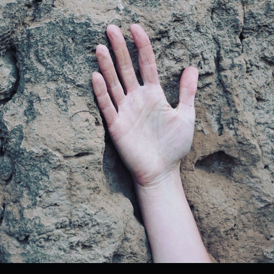 HANDS OF NATURE, 2021, photography