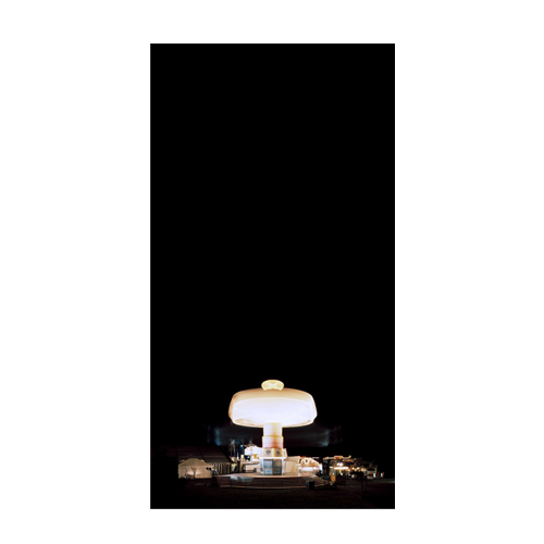 TRUDEL 2008, laserchrome / diasec, 190cm x 95cm