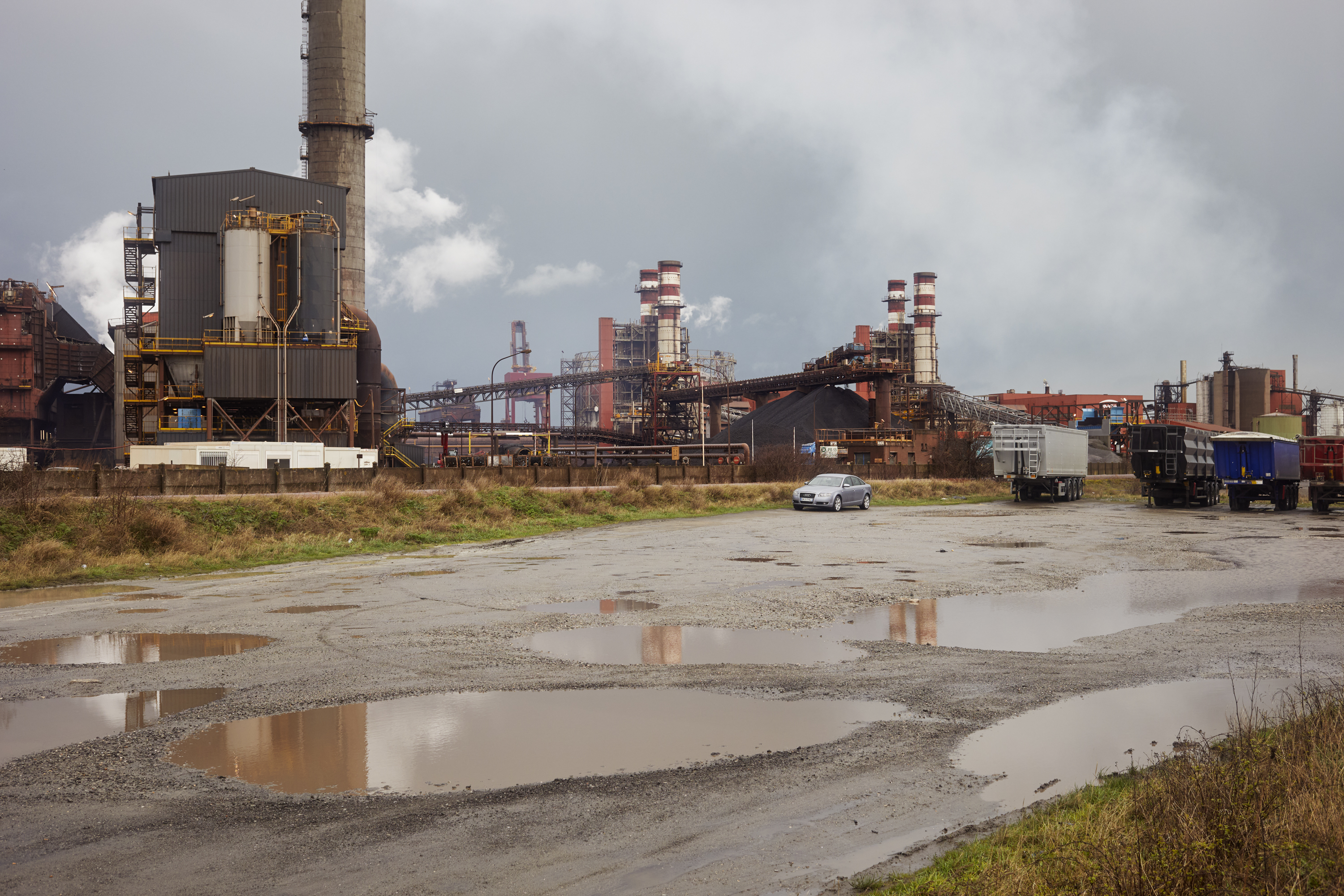 julien cregut-Lost Dogs-©juliencregut