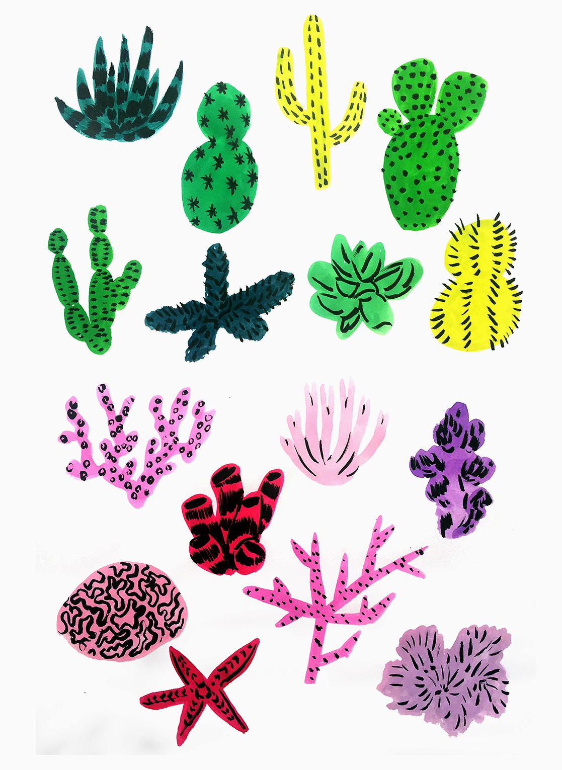 cactii / coral