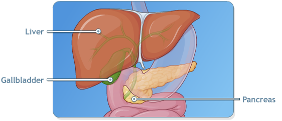 Gastroenterology/Bariatrics — Third Left Studios