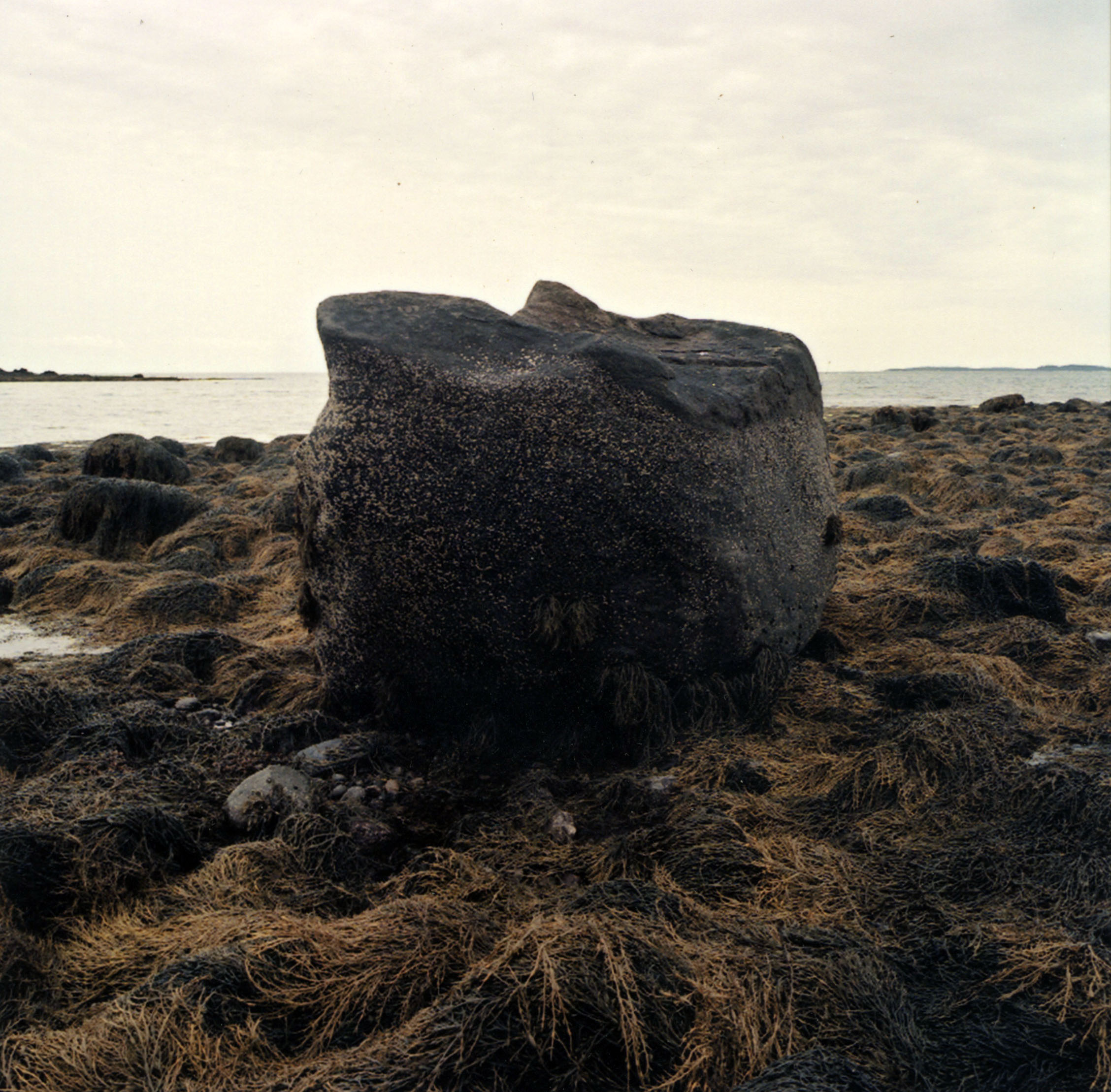 Sea Rock, Owls Head, Maine 2008