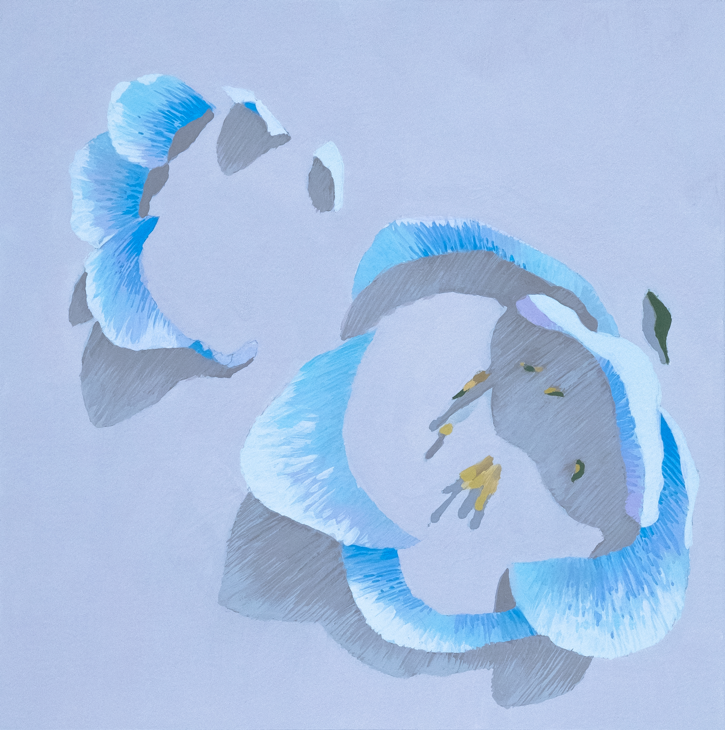 Ghost Flowers vi, 2021. Gouache on watercolor paper — 8 x 8 in.