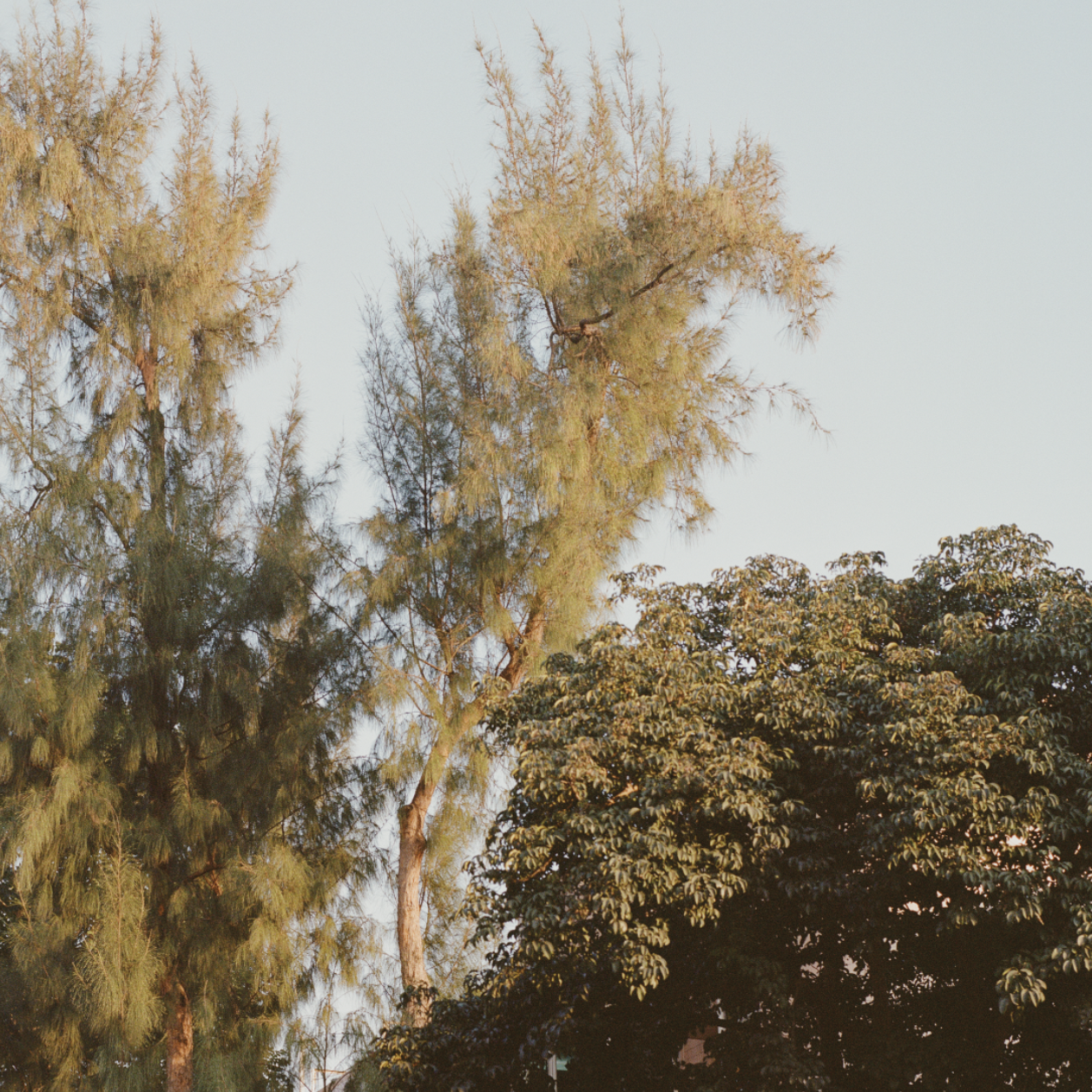 the city and all it holds (special edition including a 11x14'' print)$1100 HKD (£100)