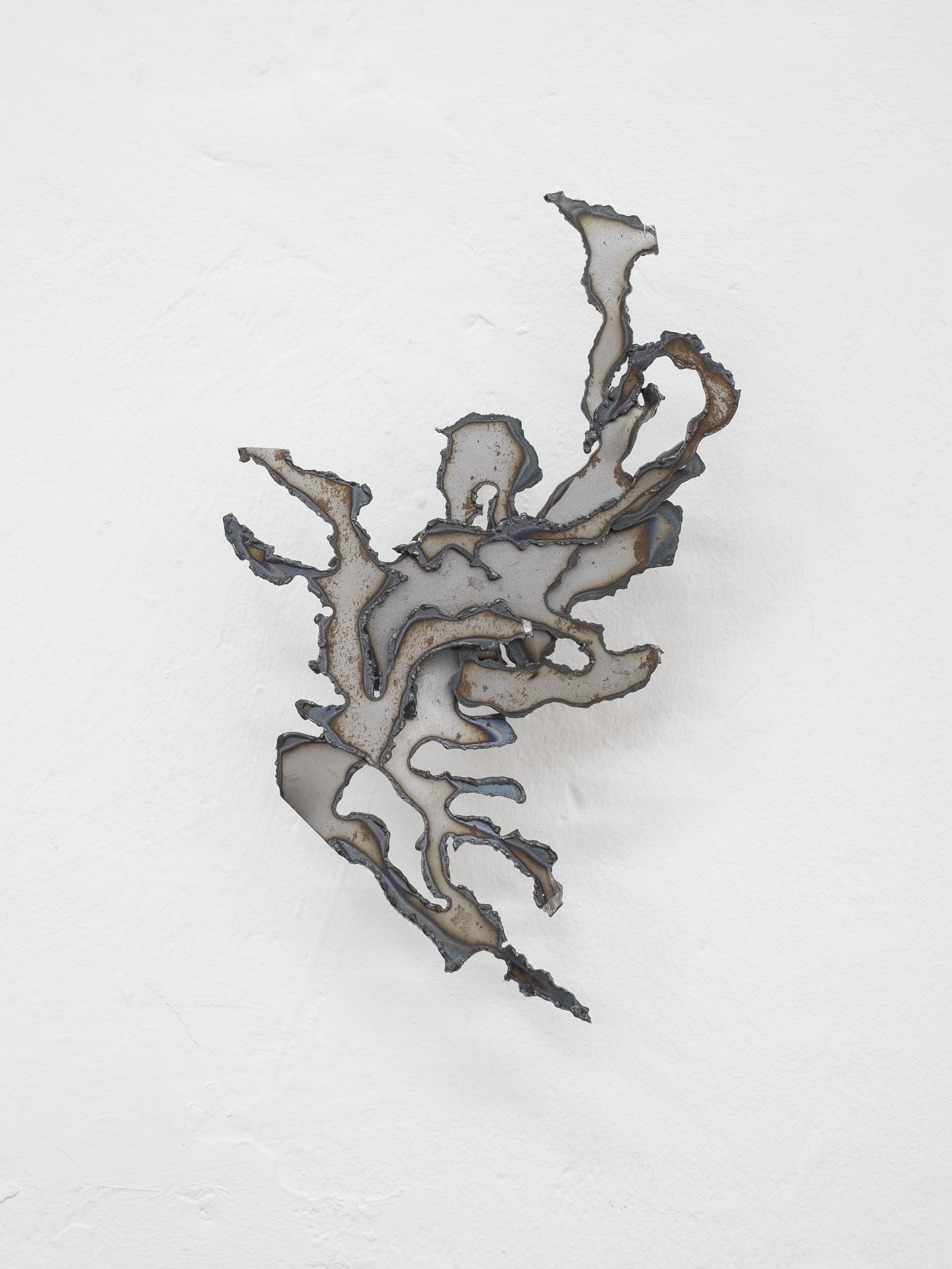 Desert Clipping, 2023, steel. Jasmine Pajdak [photo credit: M8R8S Studio]