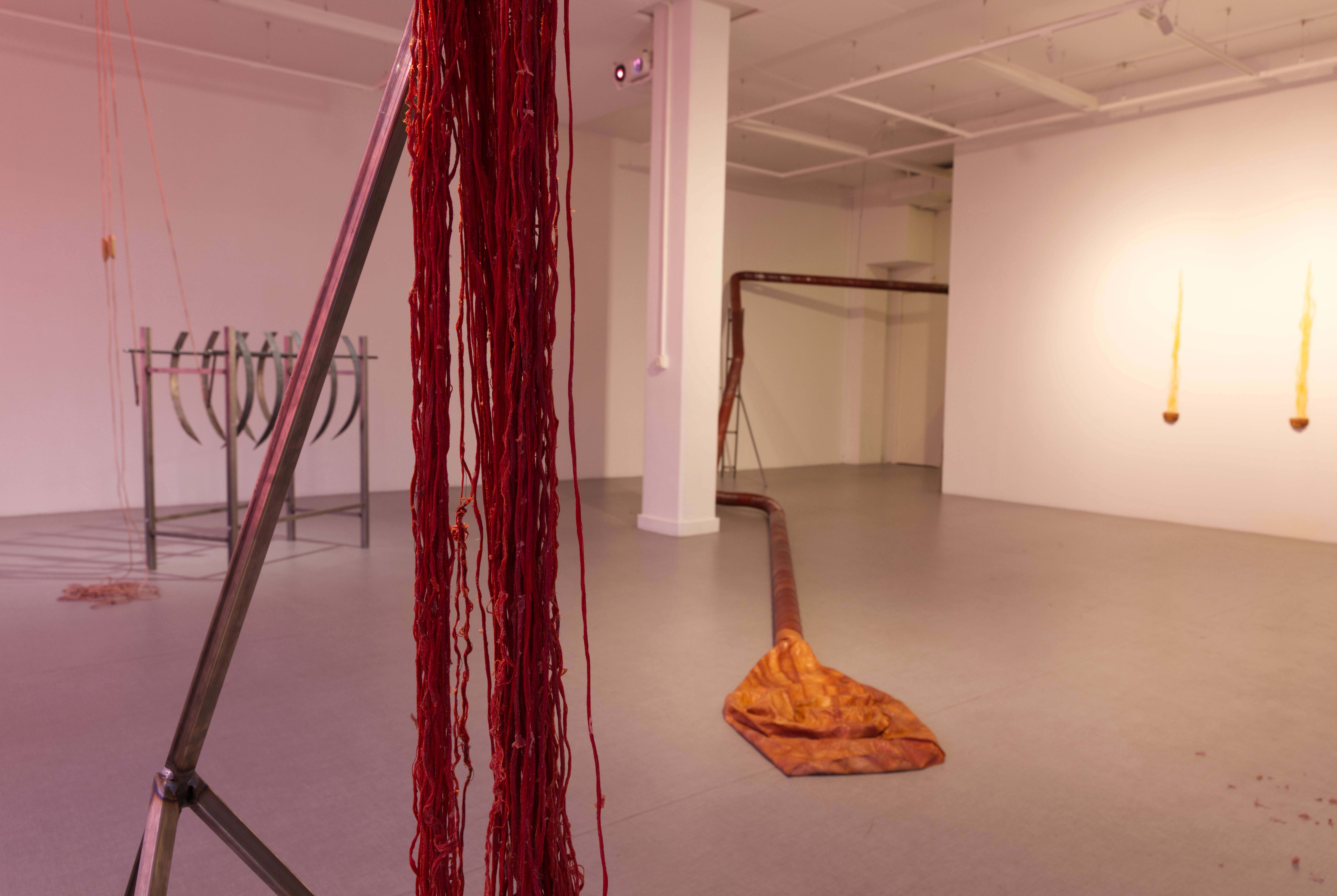 &Ouml;ppningar in i ett slutet system ​(2025)