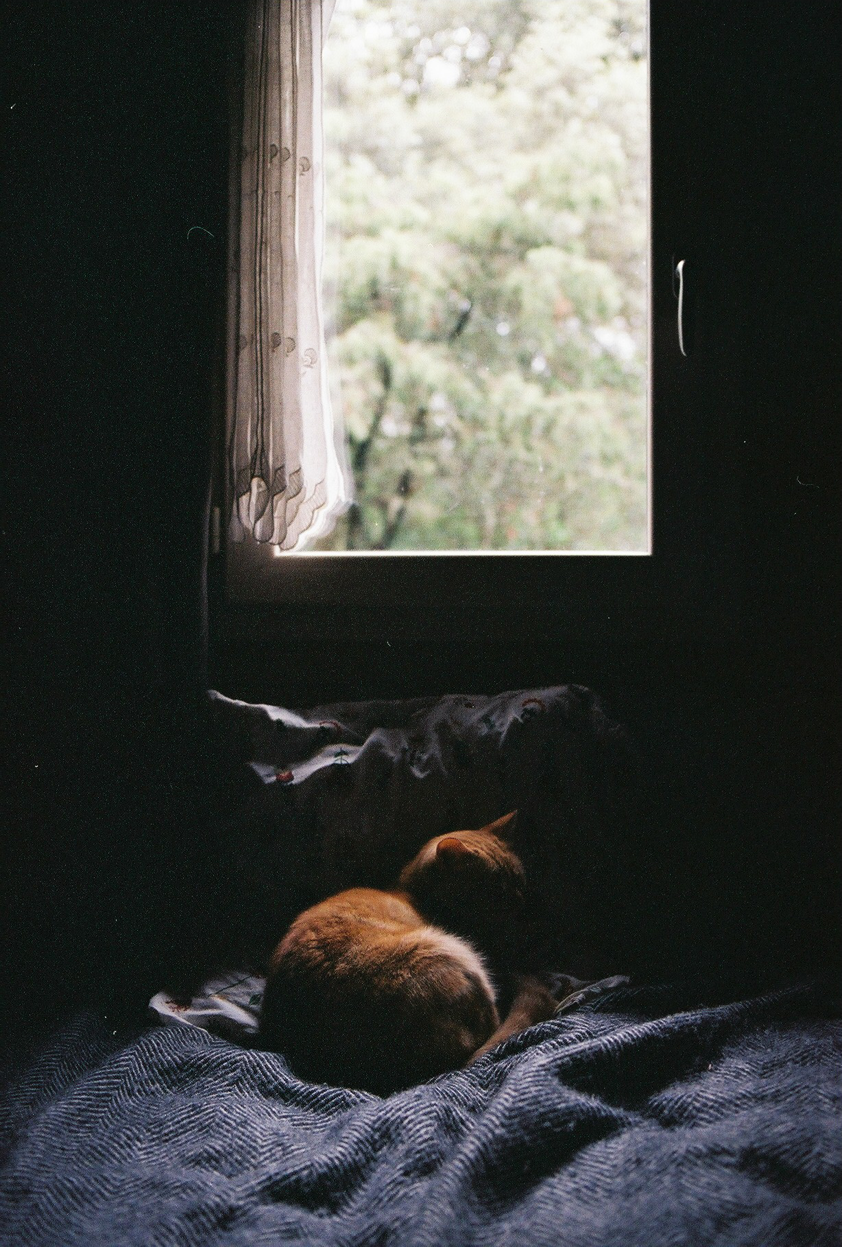 Près d'Alès, France, 2020.