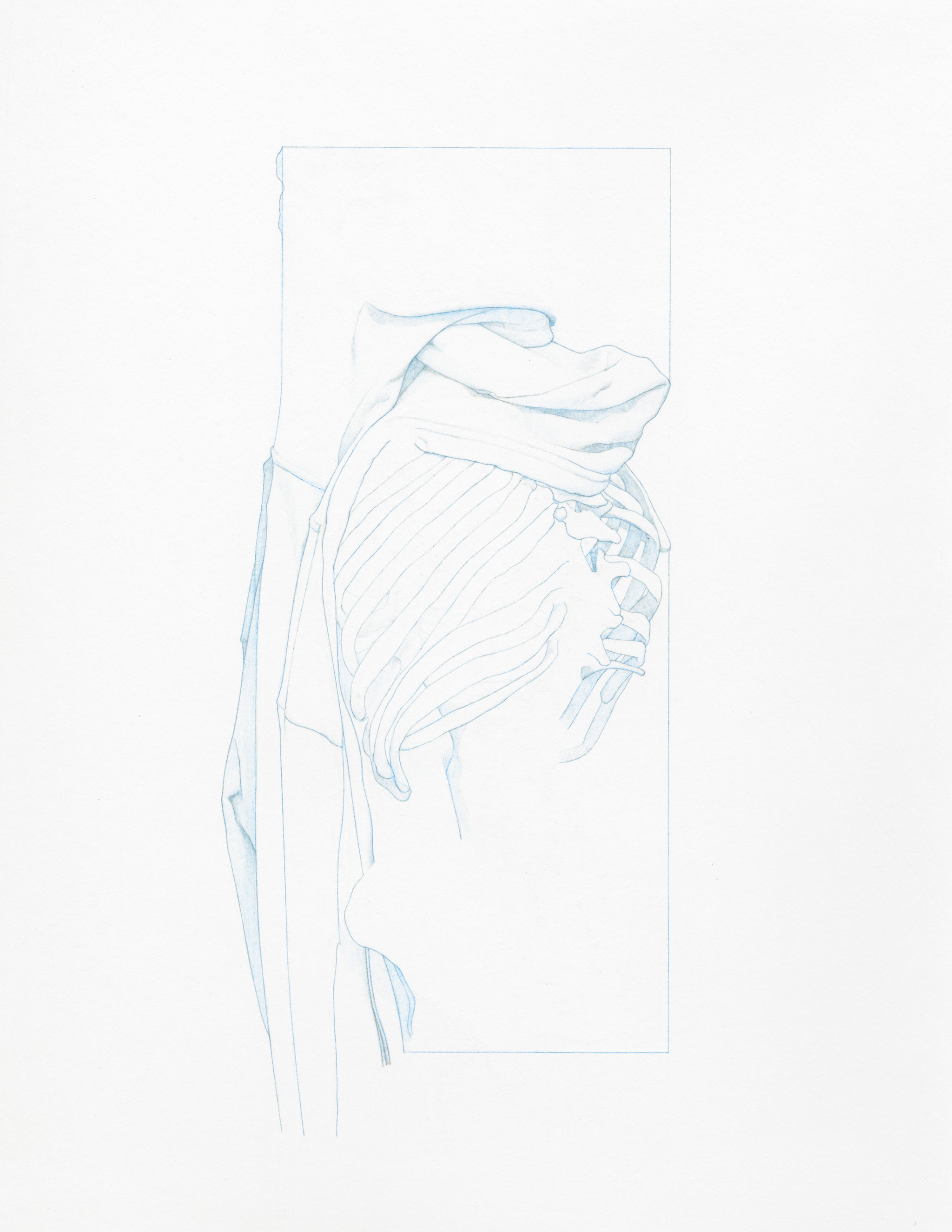 Oval 11x8.5 colored pencil on paper 2013