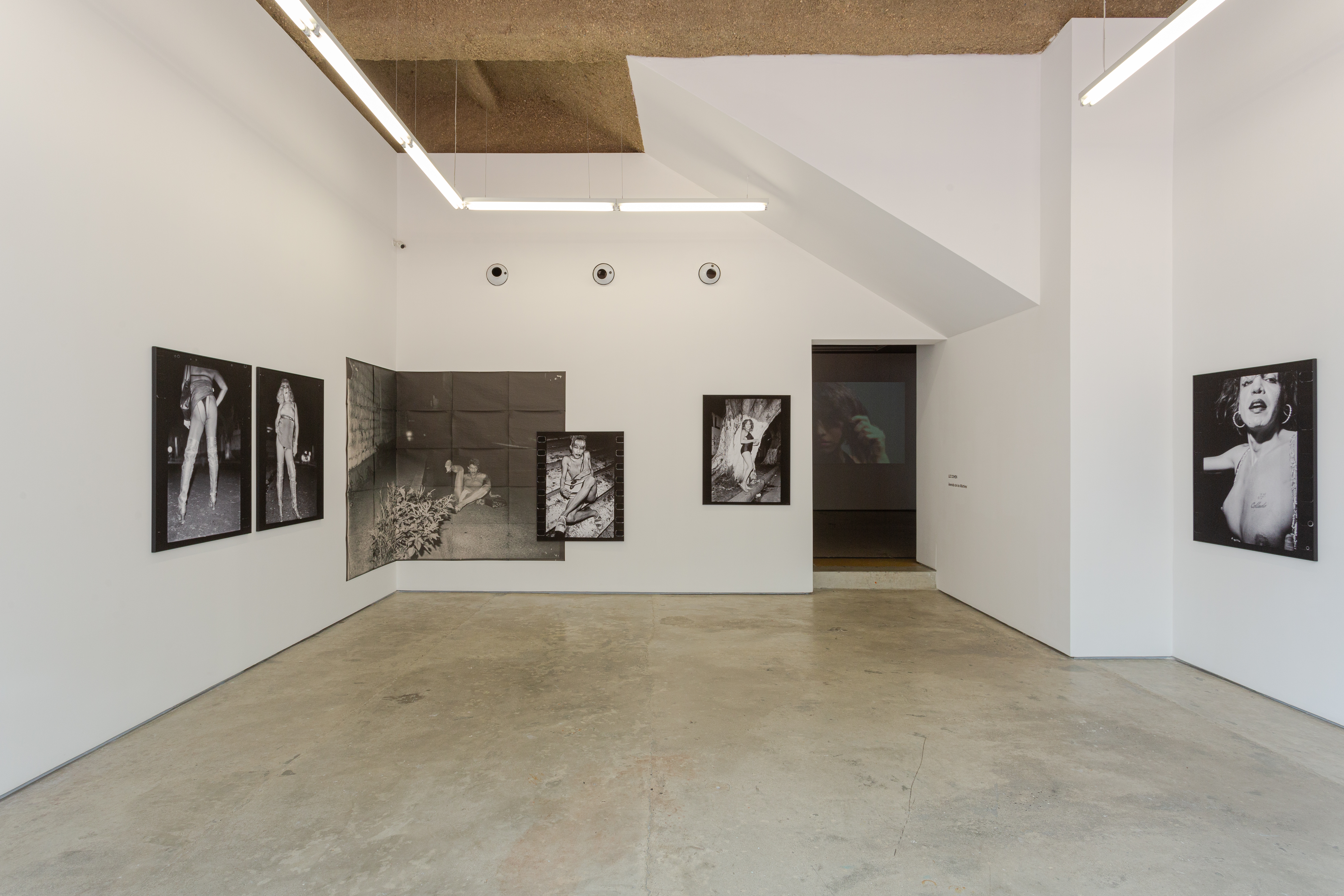 LIZ COHEN : Avenida de los Mártires