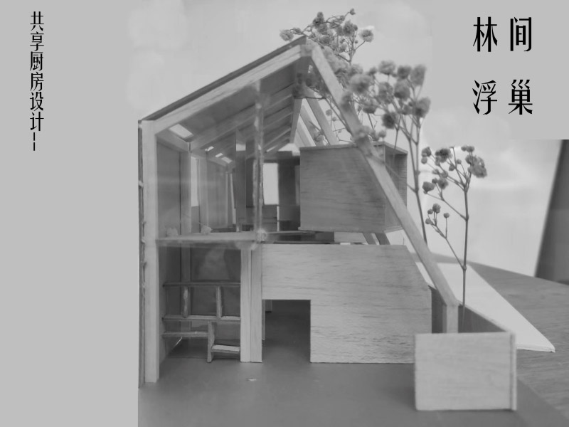 林间浮巢二年级