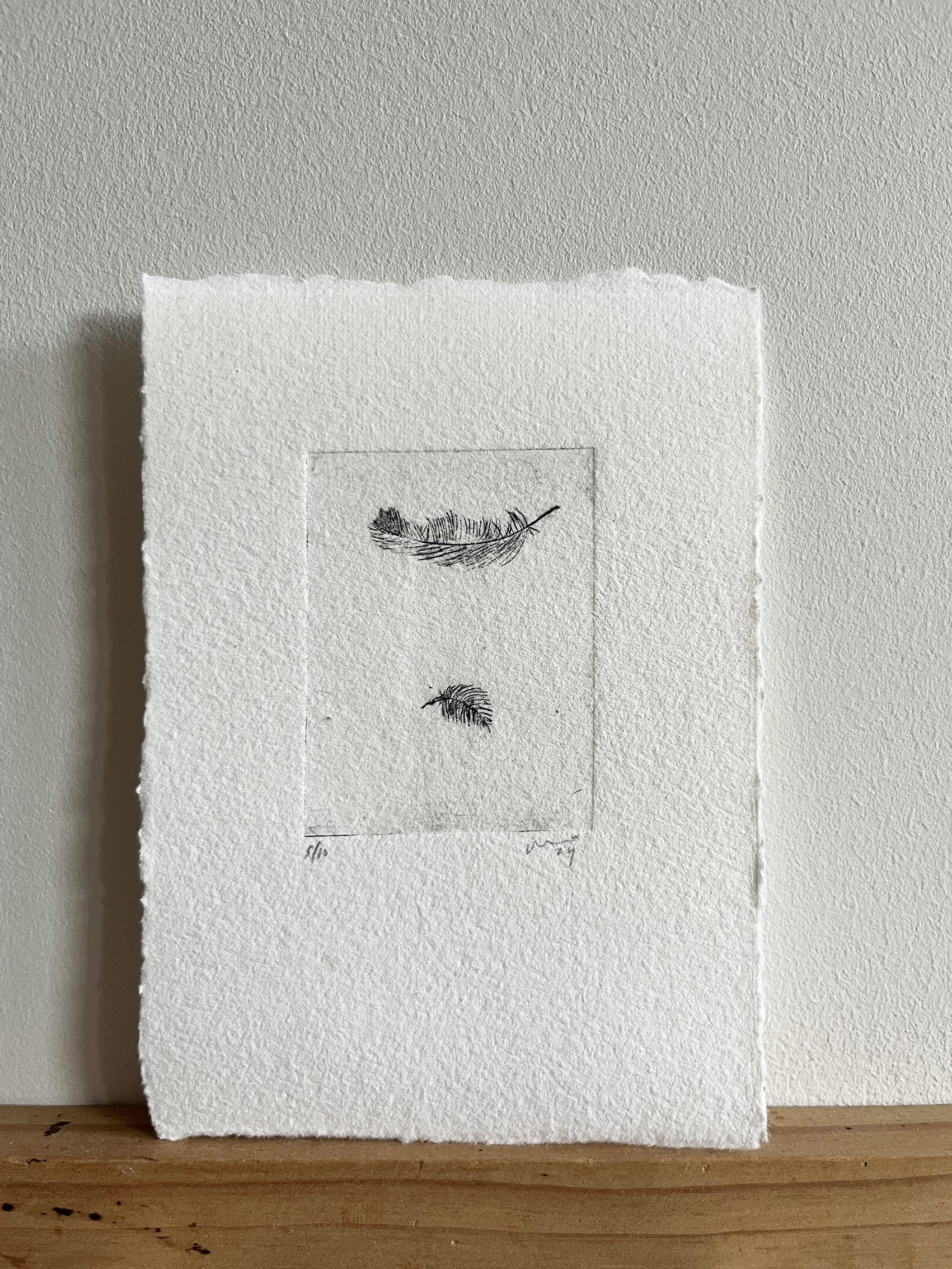 ets 'veertjes' / Vanessa - 30,-