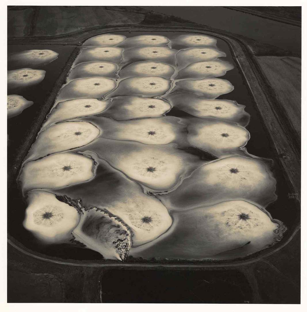 Emmet Gowin toxic water treatment