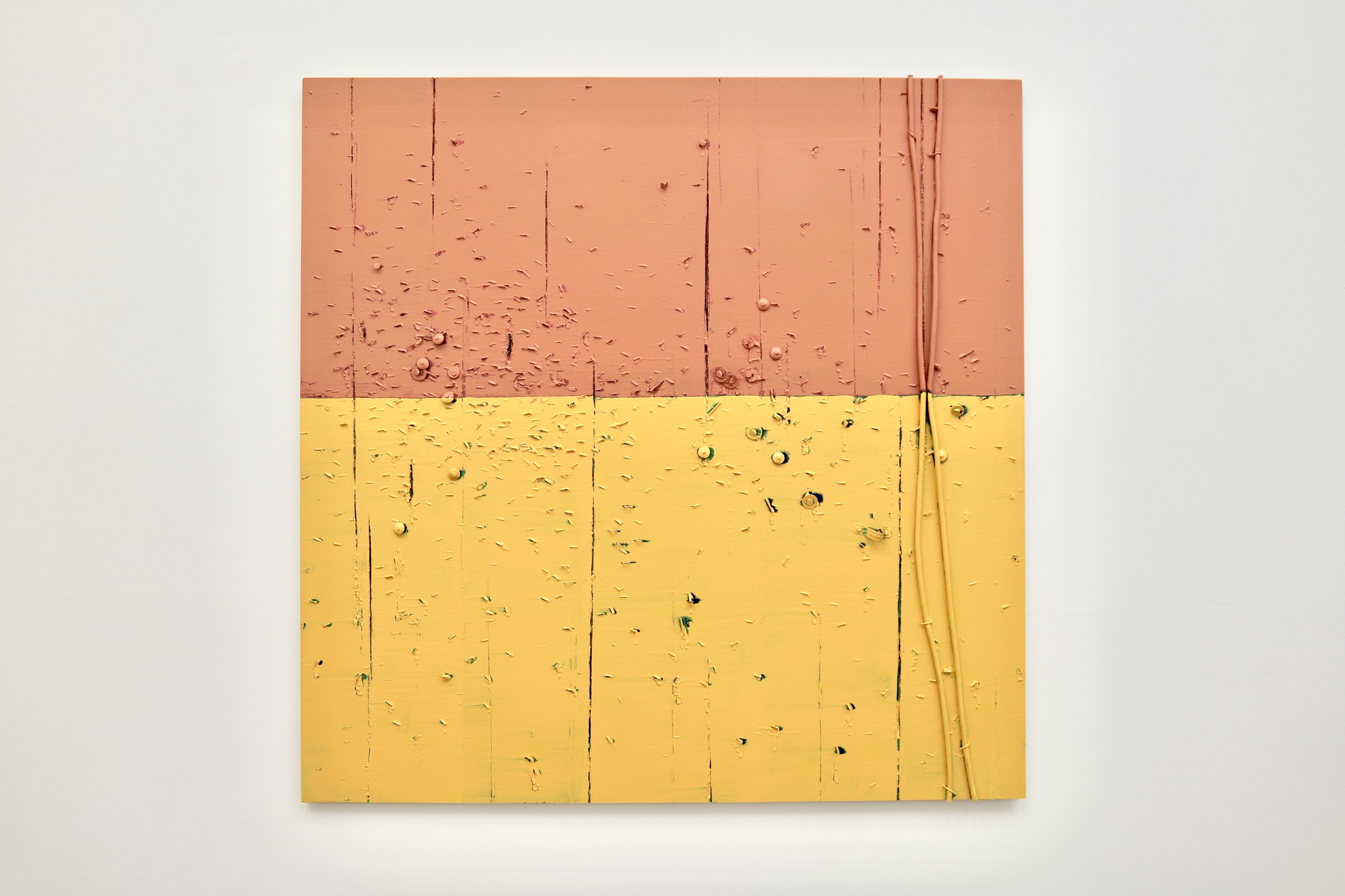 Form Over Function I (2024)