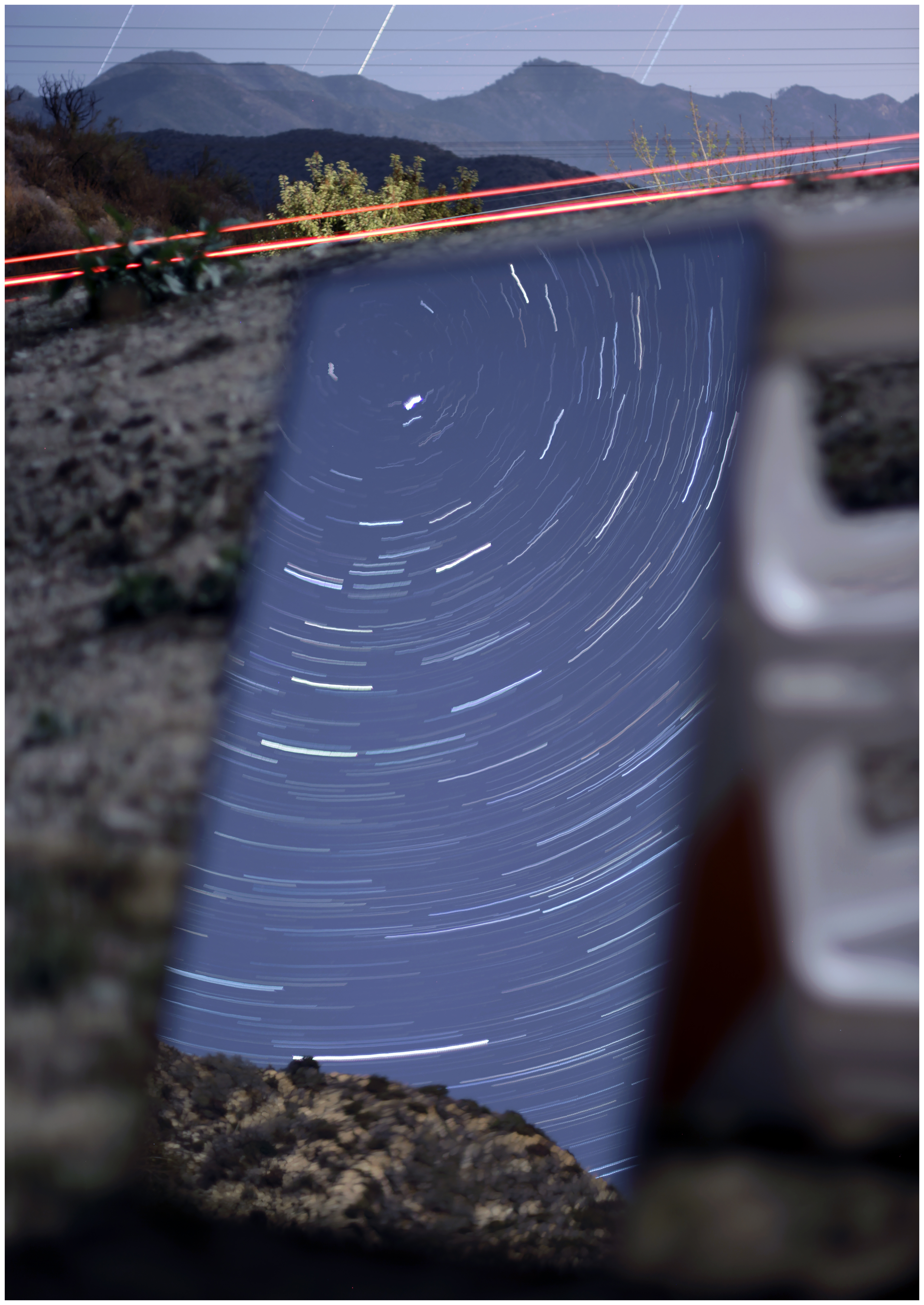 Thick Grass Starred With Flowers, 2014Composite DSLR image48.528 x 68.75 in.123.26 x 174.63 cm