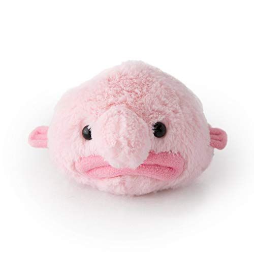 Blobplüschi nur 24,99€
