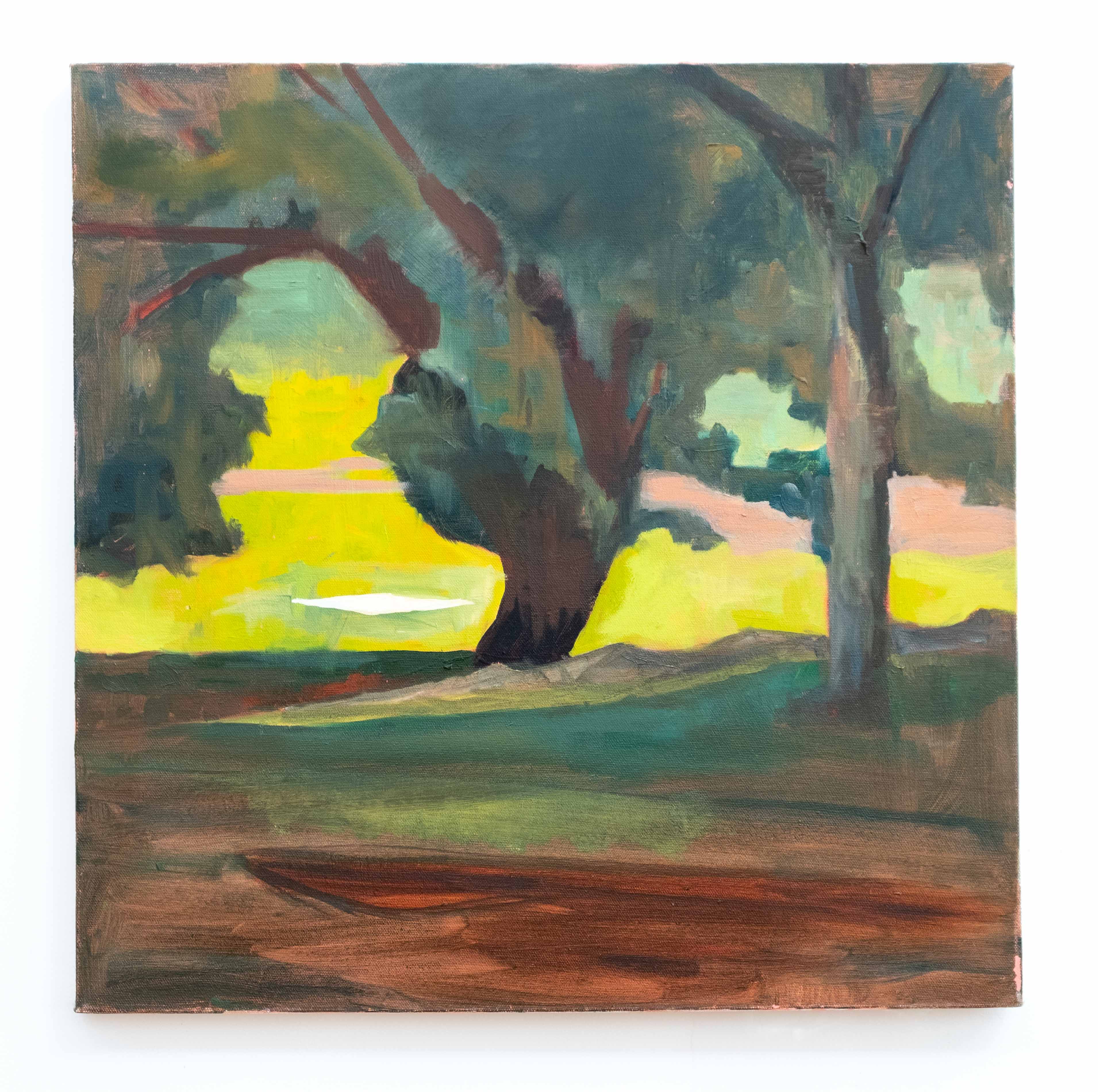 Blanket, Central Park, oil on canvas, 20 x 20 inches, 2015