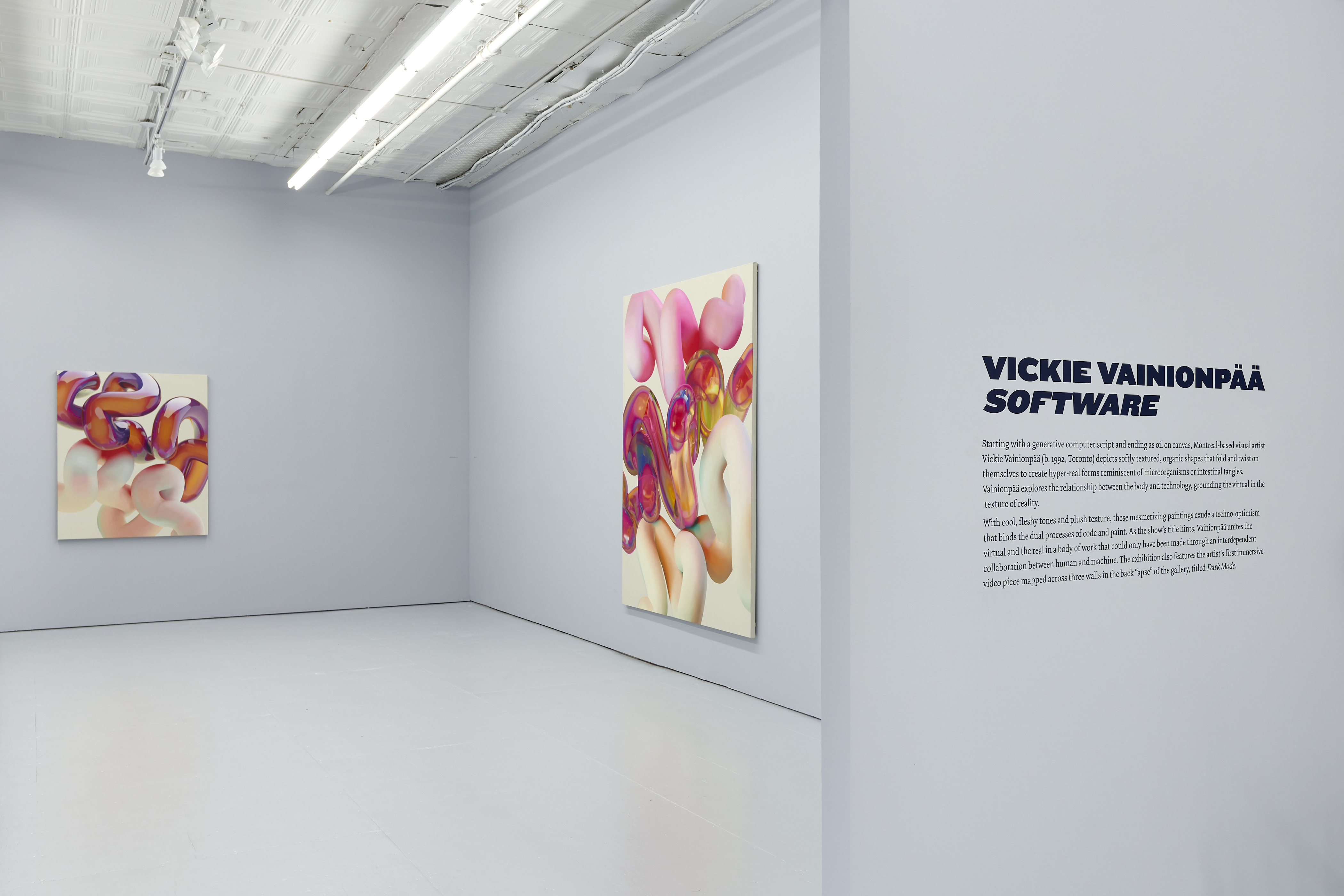 Installation view of 'Software' at The Hole NYC, 2022