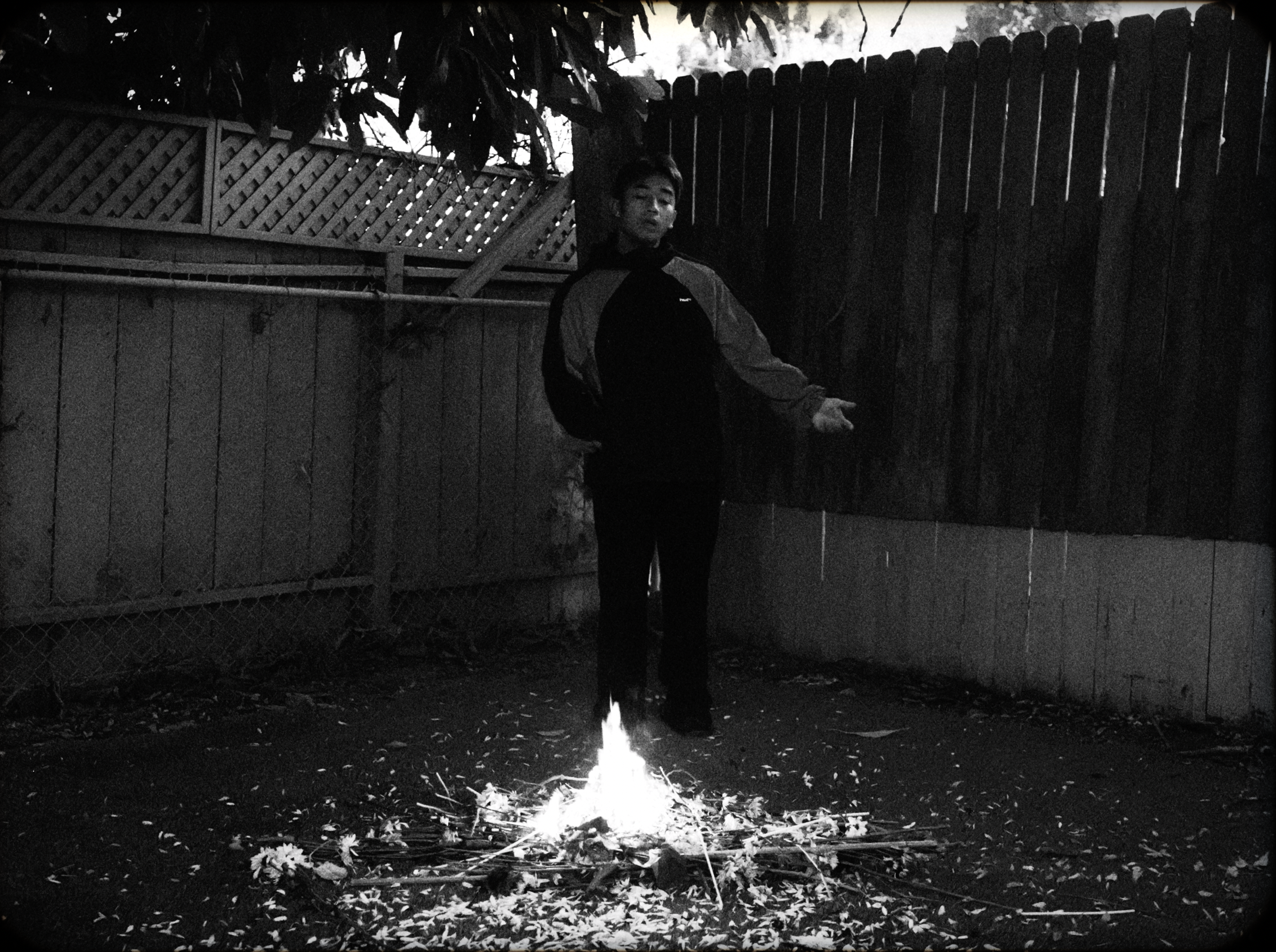 8rae - "loves  me (not)" Visualizer