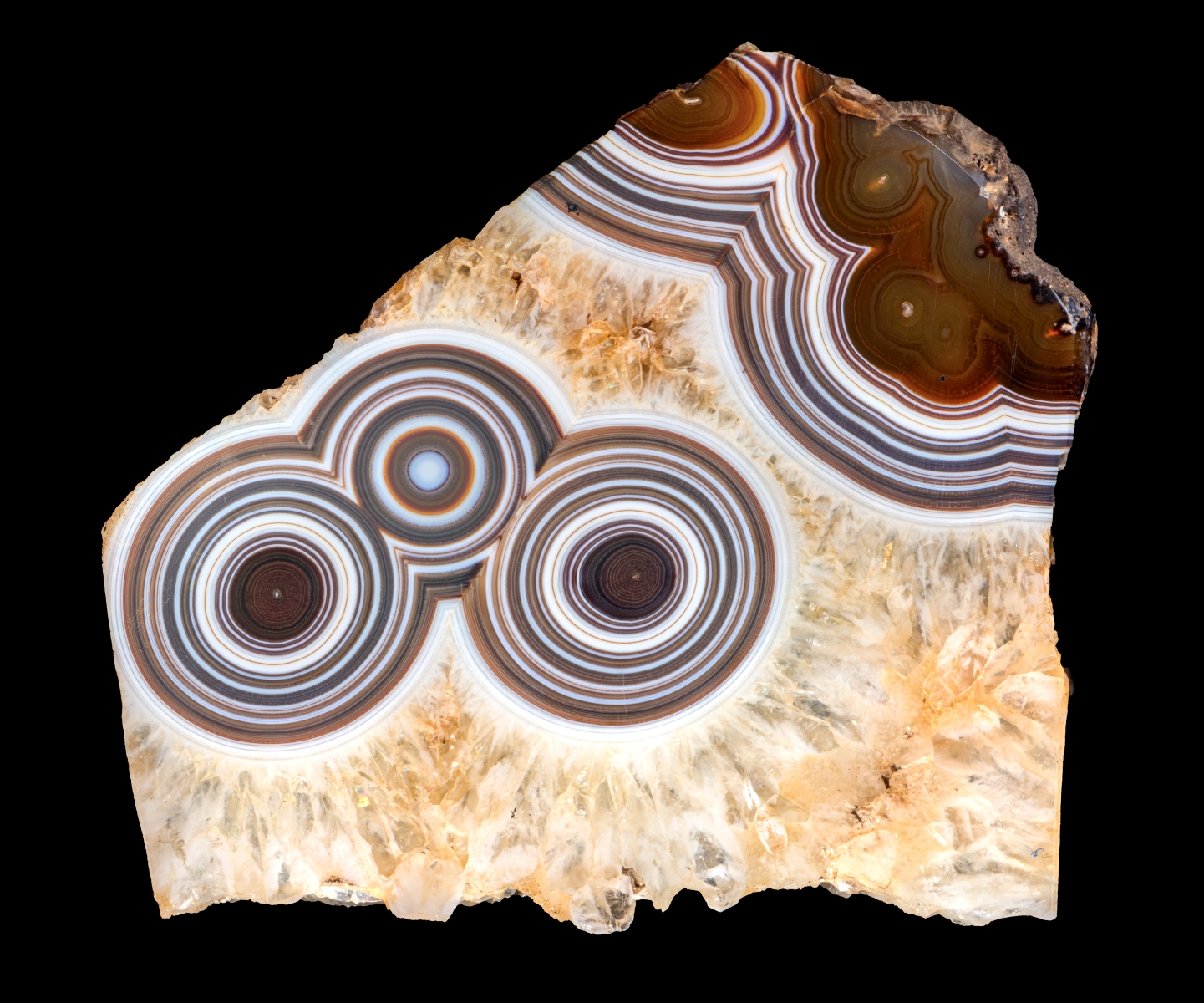 Œil et binocle, Agate oeillée dans quartz (Artigas, Uruguay) Paris,MNHN, collection de minéraux et gemmes, cliché François Farges