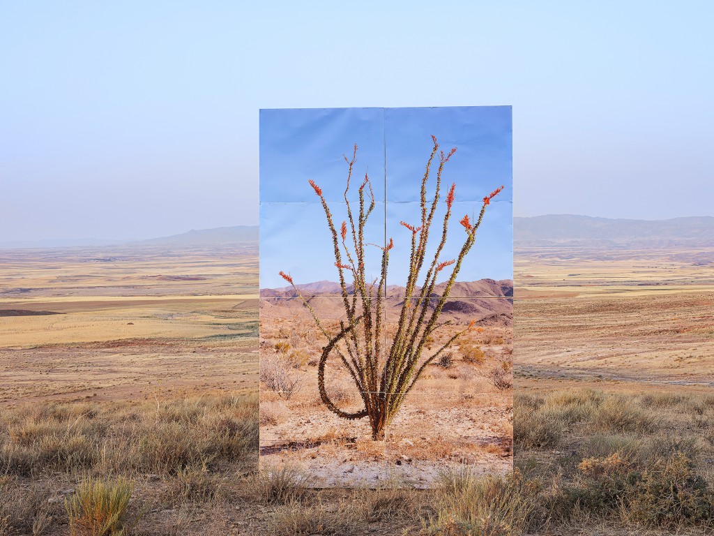 Land/s, Gohar Dashti, 2019; Image source: Gohar Dashti