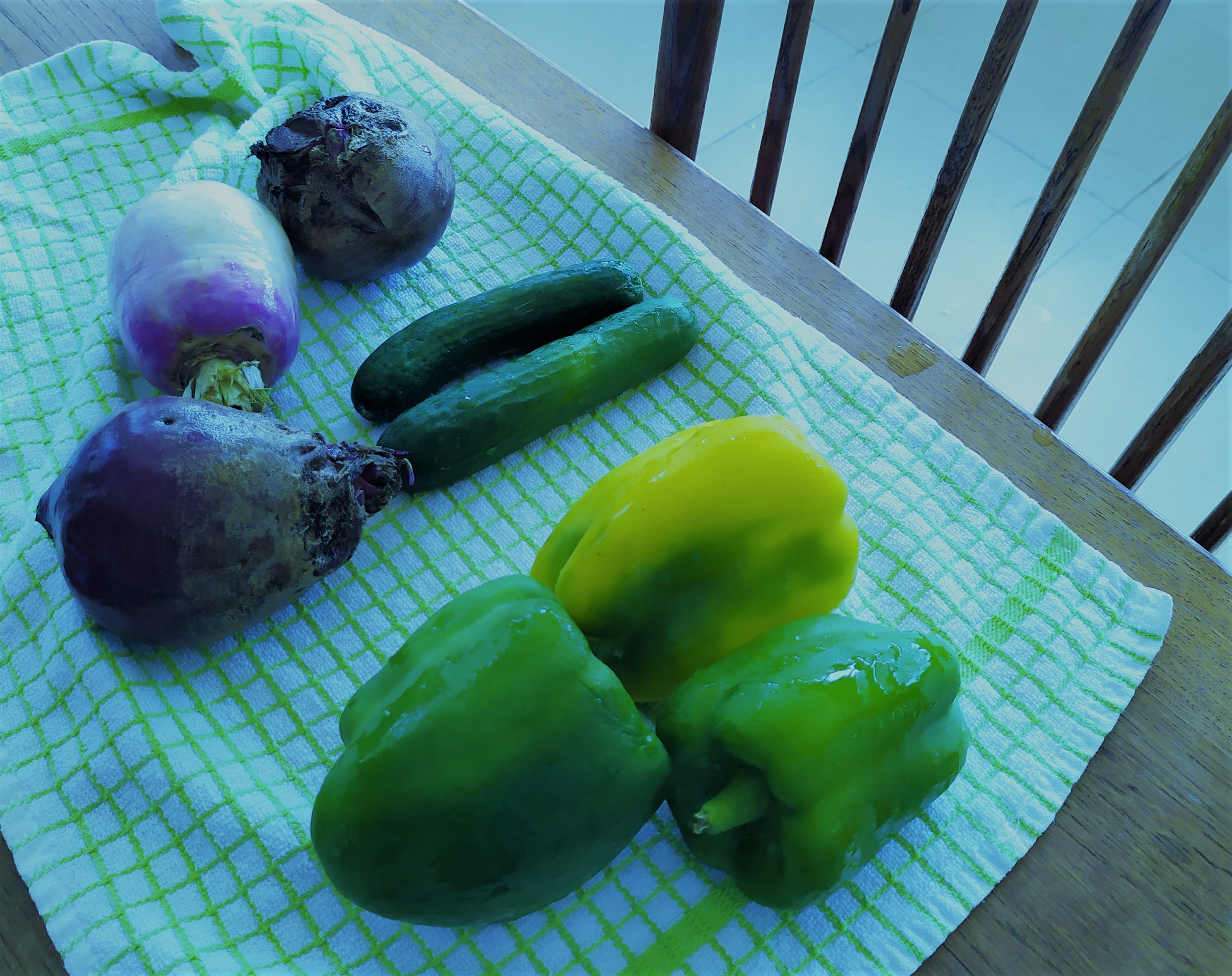 PotentialImage Description: Freshly washed vegetables sit atop a checked dishcloth on a wooden table, which cuts diagonally across the foreground. The vegetables—three bell peppers, two cucumbers, an eggplant, and two root vegetables—are the most sharply in focus. In the top left corner, linoleum tiles are visible through what appears to be a railing. The image is tinted a cool blue-green, almost neon, rendering the eggplant a bright violet and the root vegetables a dark, inky blue. Like the other photographs in this triptych, the cool toned saturation makes for a surreal visual impression.
