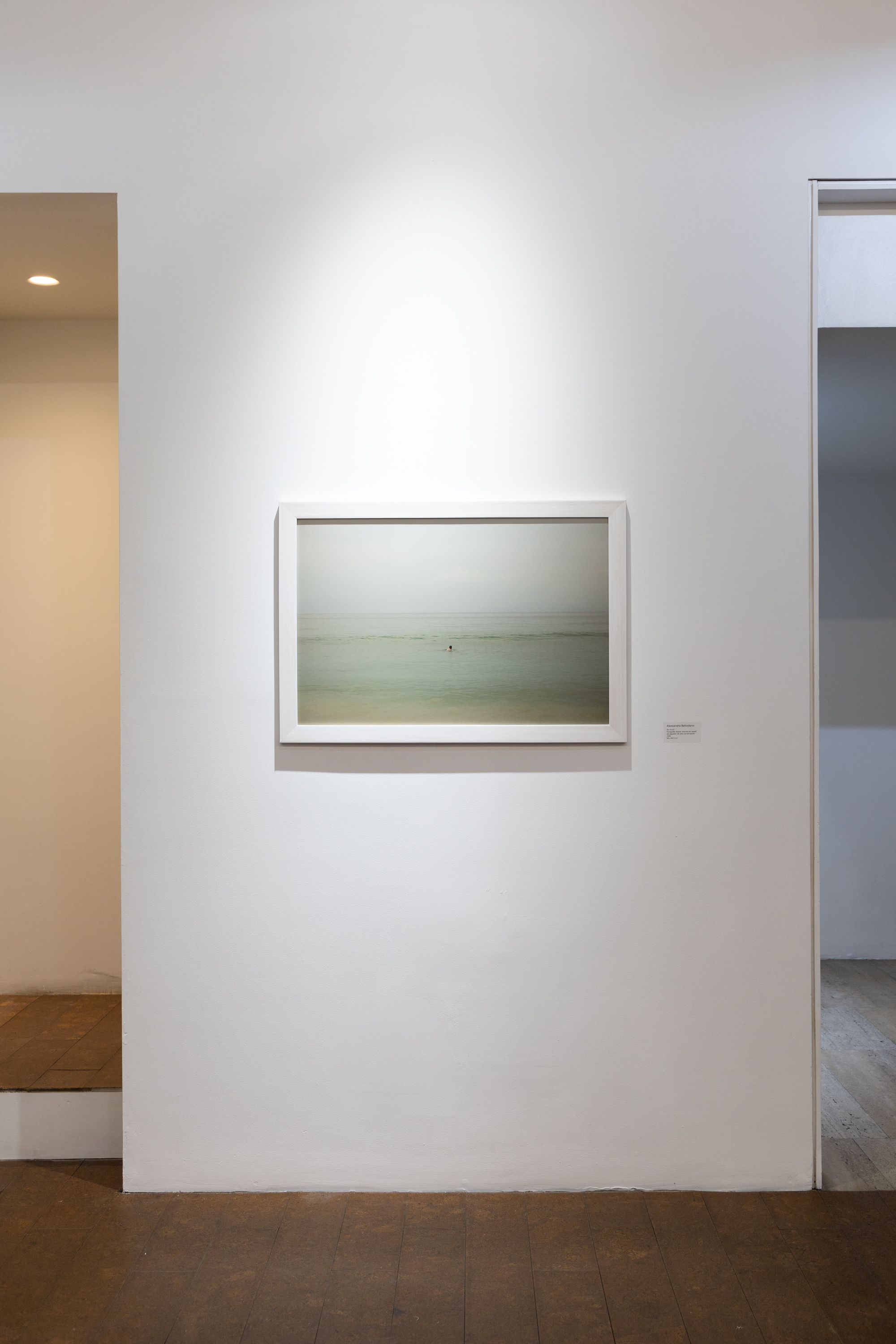 Alessandra Baltodano, DeCerca, 2023