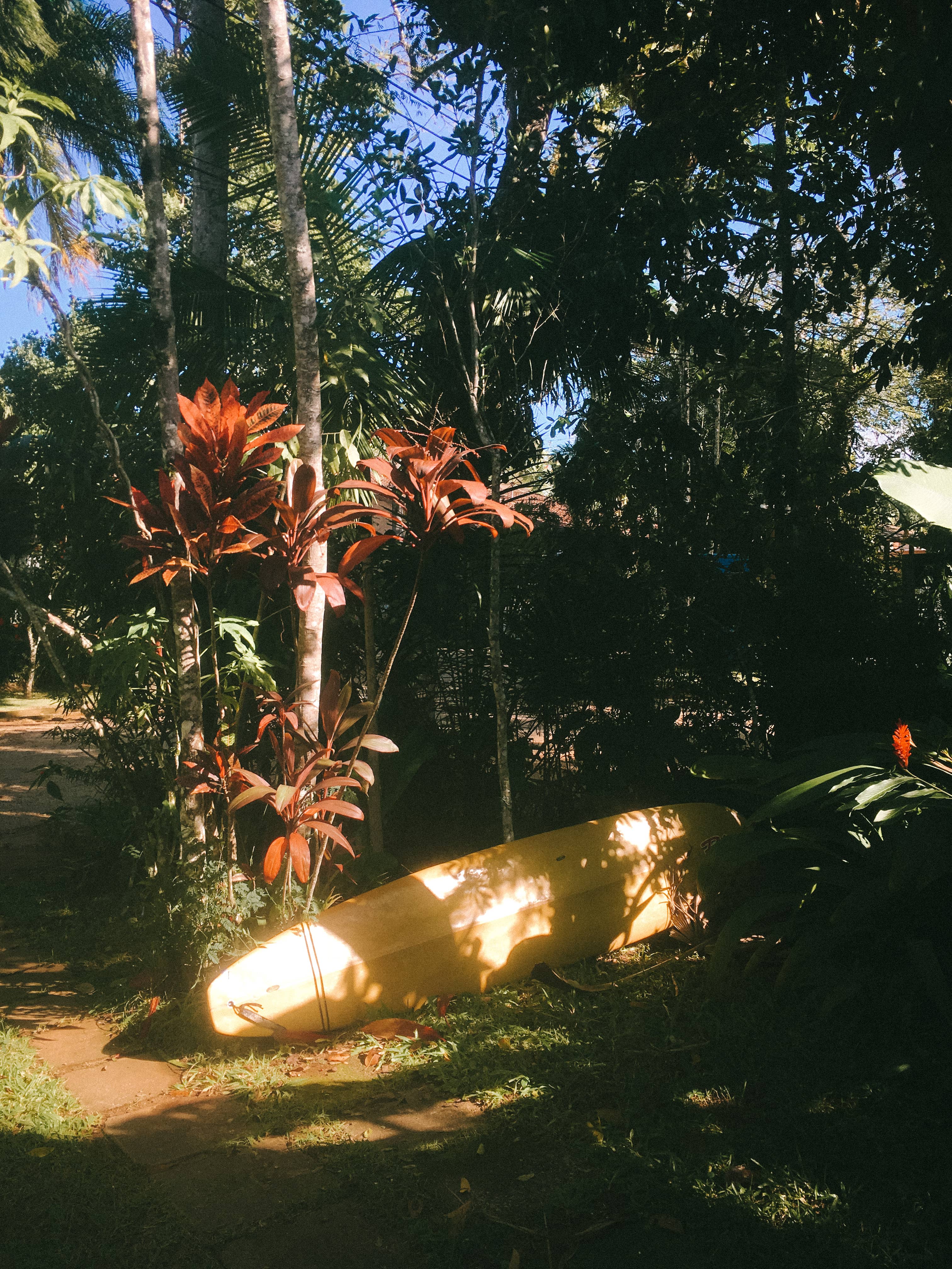 Surfing Ubatuba, Praia Grande in winter