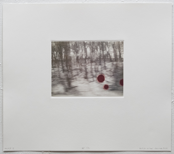 Pasaje II, 2019 Digital print, and etching Image size: 5 1/8” x 7” Paper size: 13 3/8” x 15 ½” 