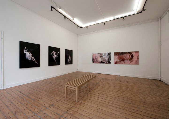 Solo Flatland Gallery Utrecht 2011