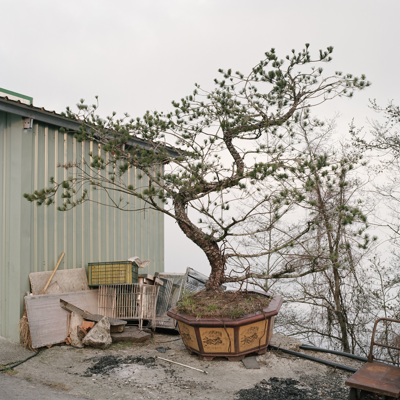 Taiwan Mountain Pass II, 2016