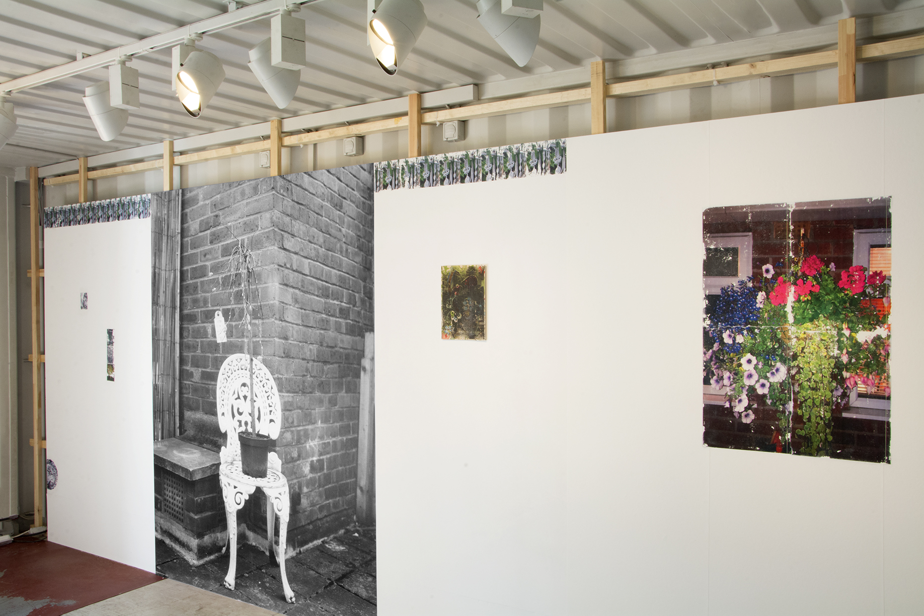 Install view: Syntropic Surfaces, Hamburg Photo Triennial, 2018