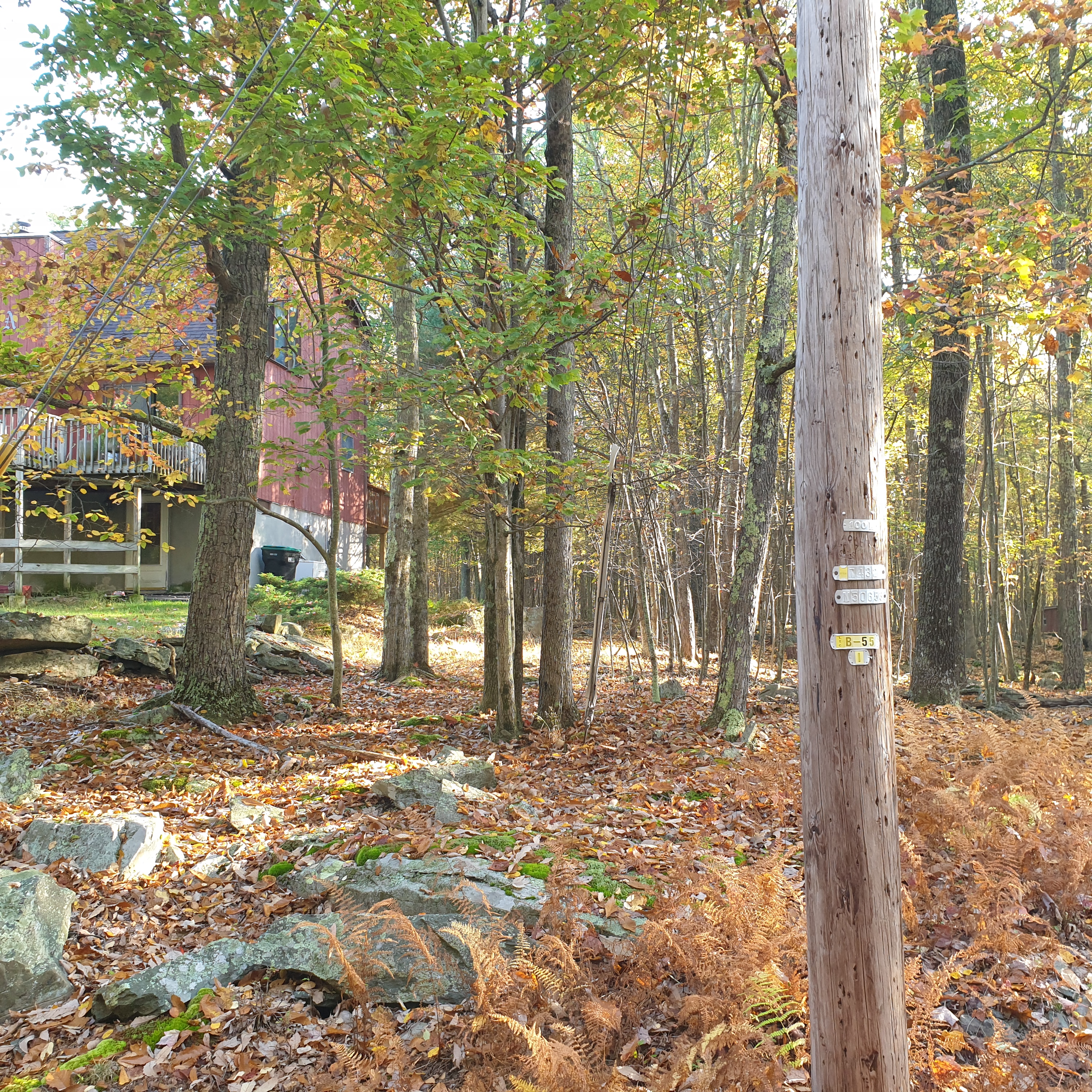 A house can be seen in the distance through trees. A large wooden pole is seen in the front right in front of the trees and rocks.