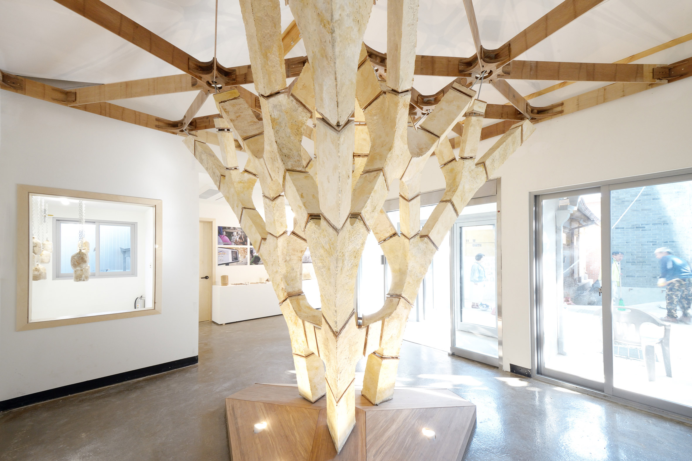 Dirk Hebel: Mycelium Structure