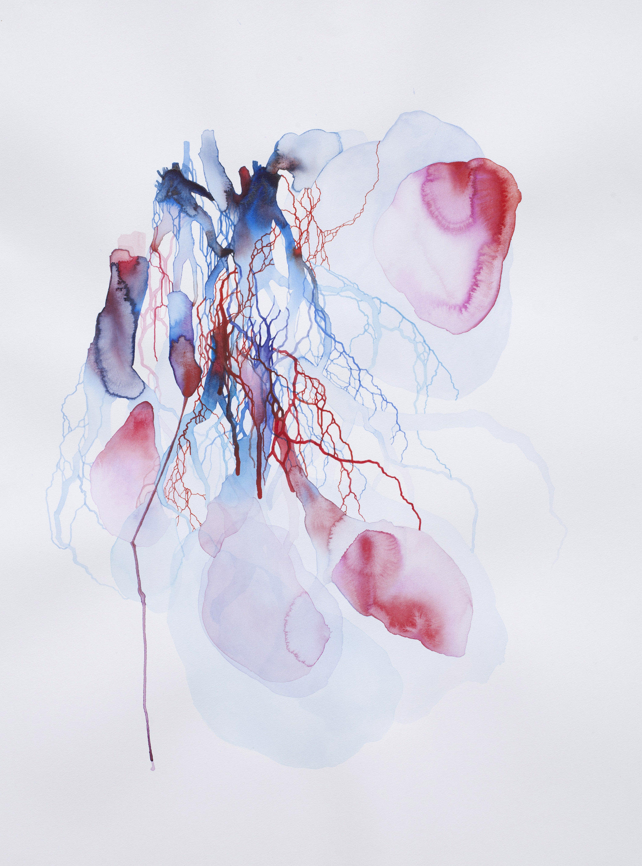 "Entraille c" (aquarelle, 59x80cm, mi-janvier 2025)