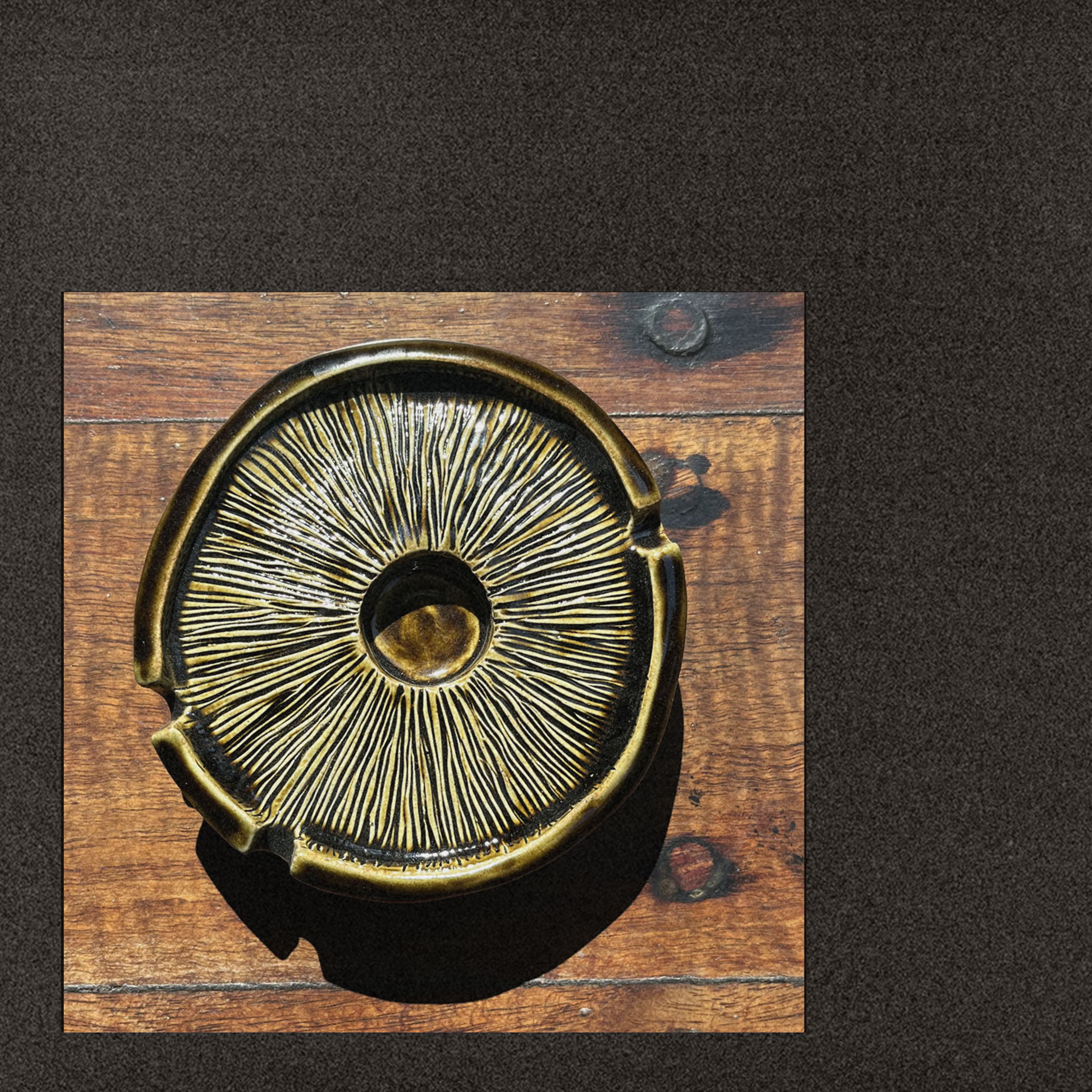 Agaricus bisporus: Portobello