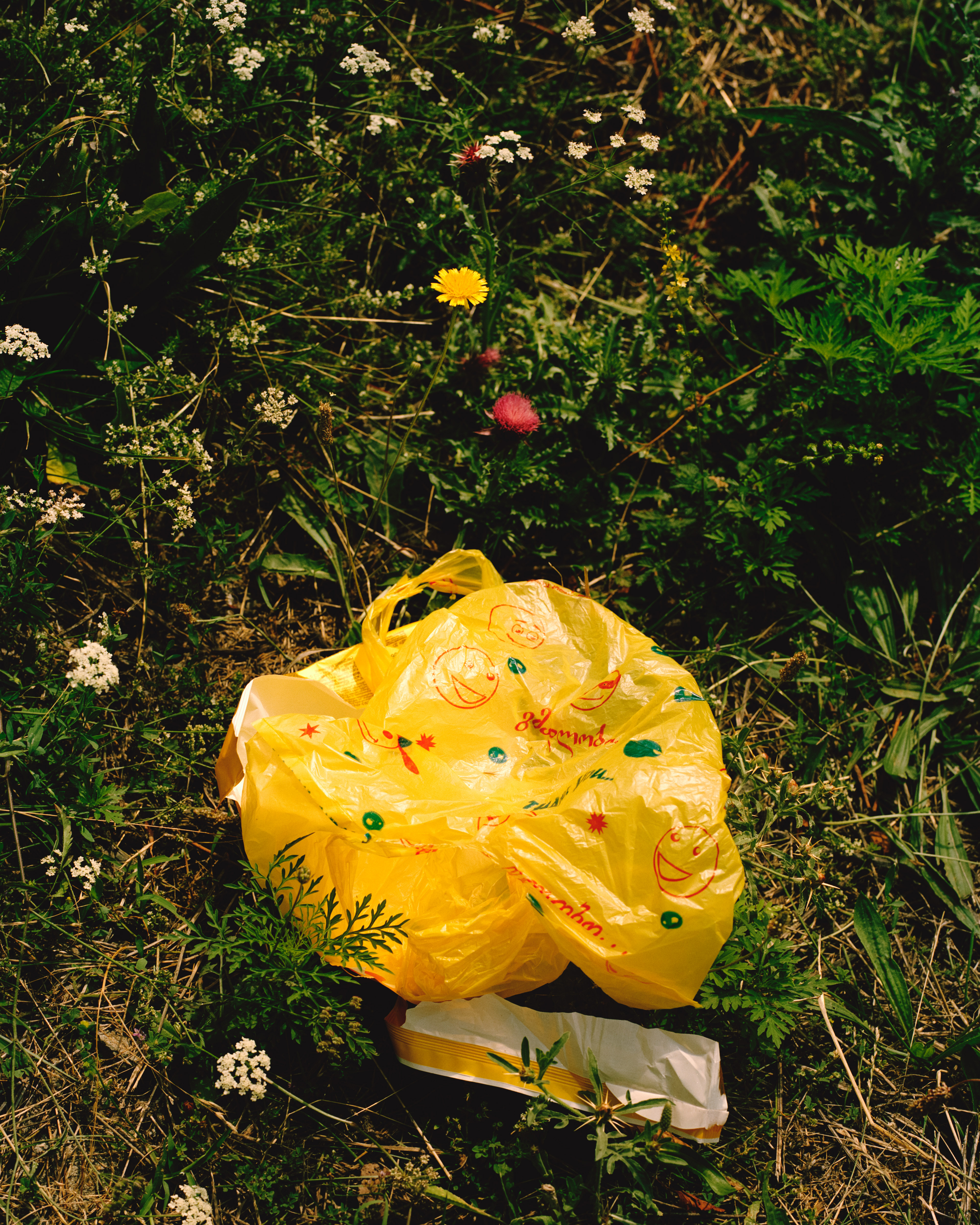 Along the E117 to Stepantsminda, Georgia