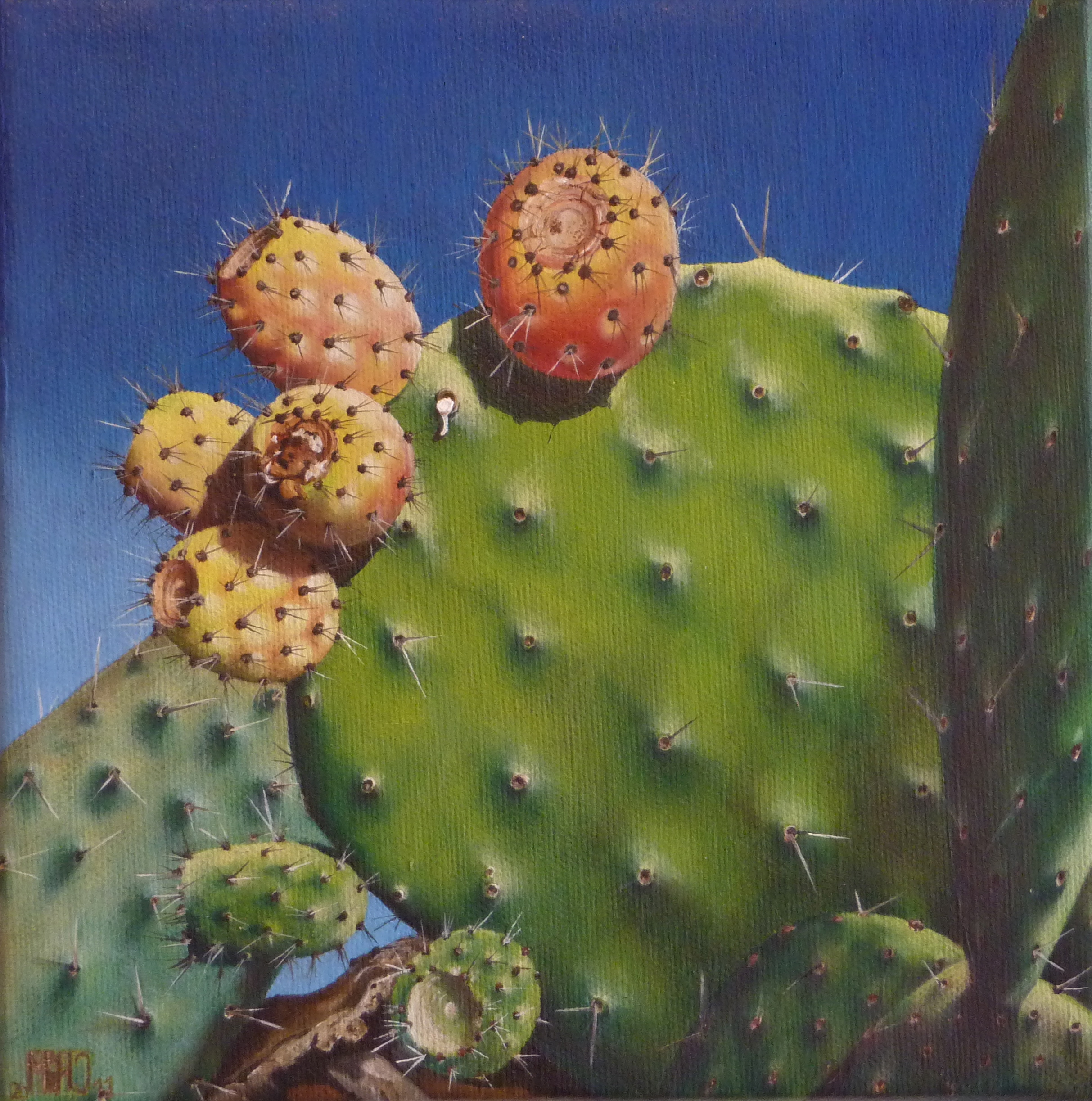 75–Feigenkaktus Nr.250×50 cmÖl auf Leinwand2010sold