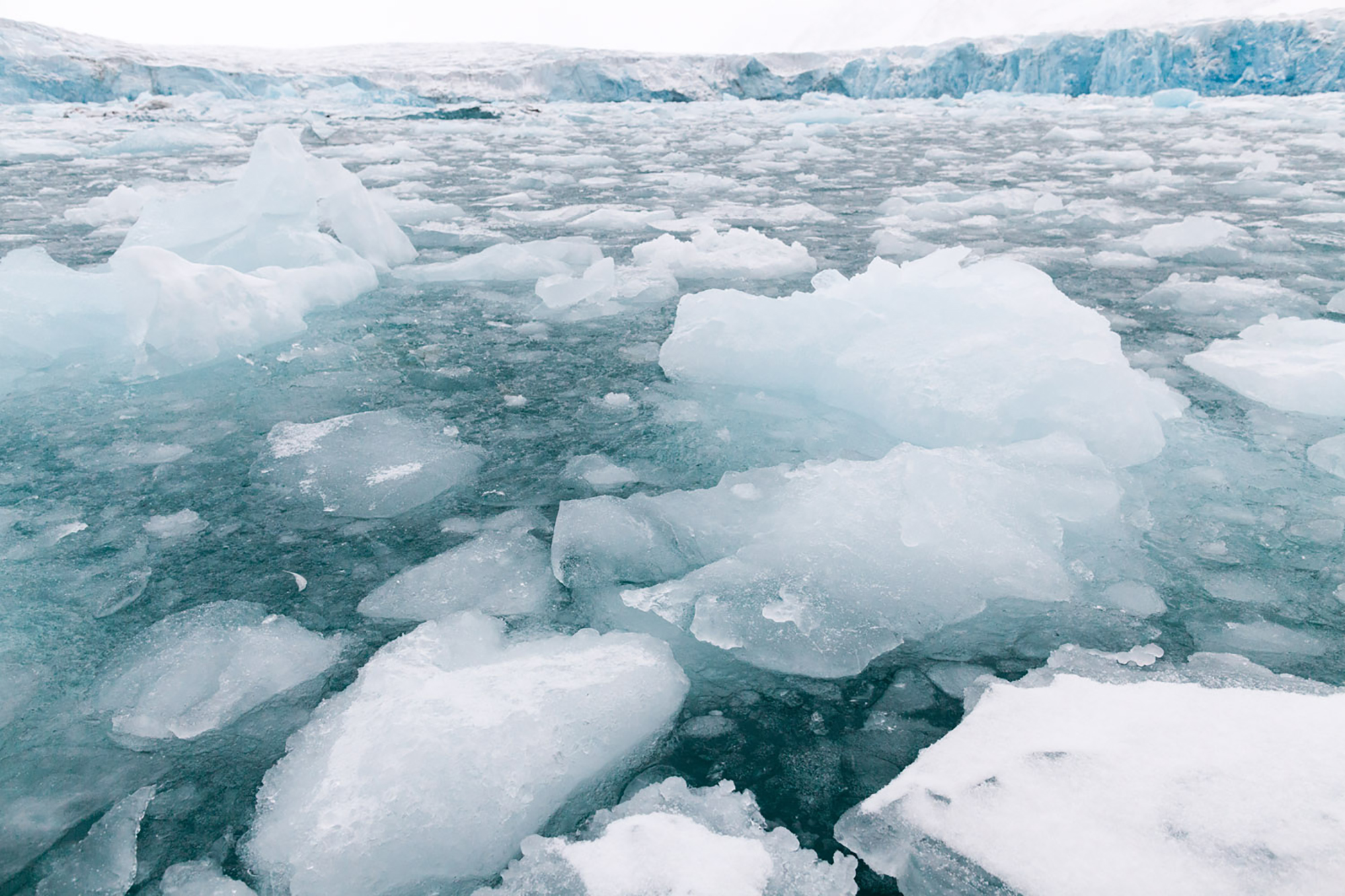 Glacier Ice 1 (Monacobreen), 2013; archival Inkjet print; 32 × 48 inches.