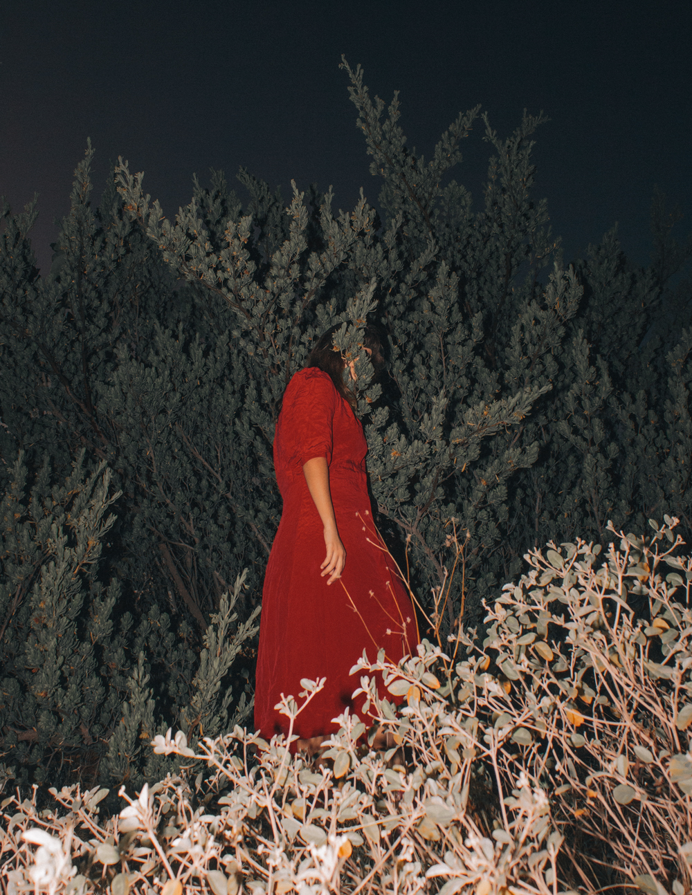 Ana, from the journal: When there are no words for feelings (2015-2016)