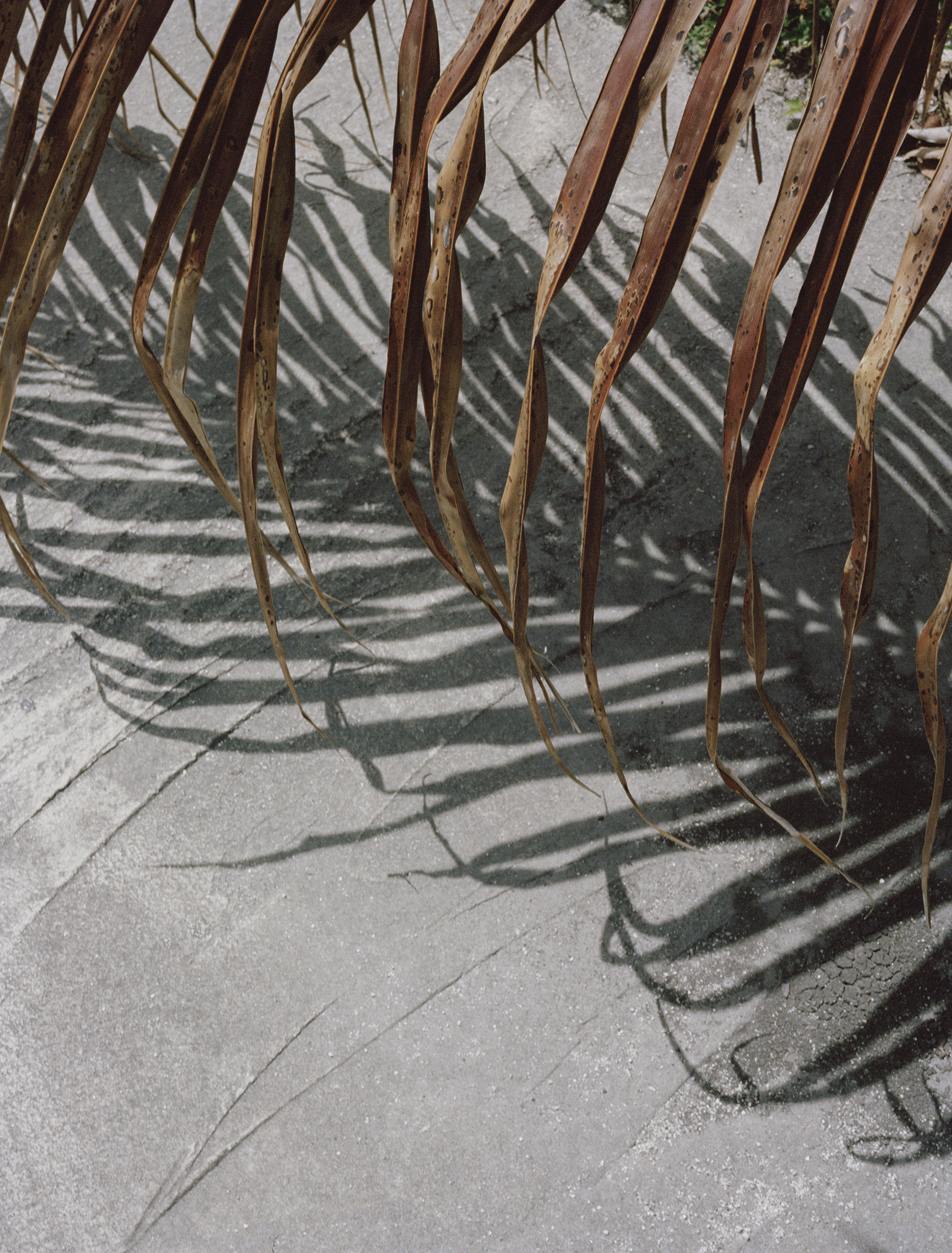 Miami Textures. (6/6)