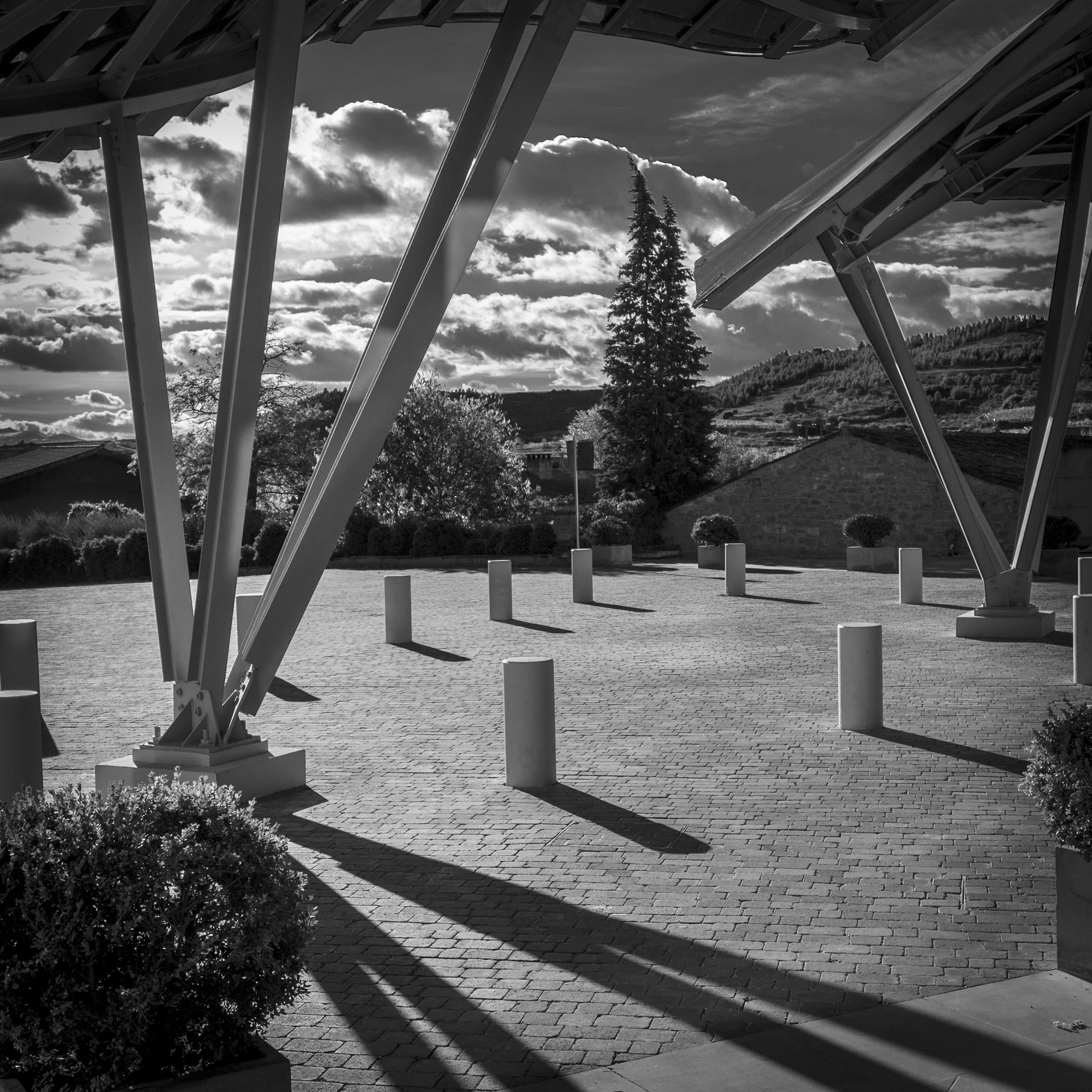 Moonlight Overthrew You