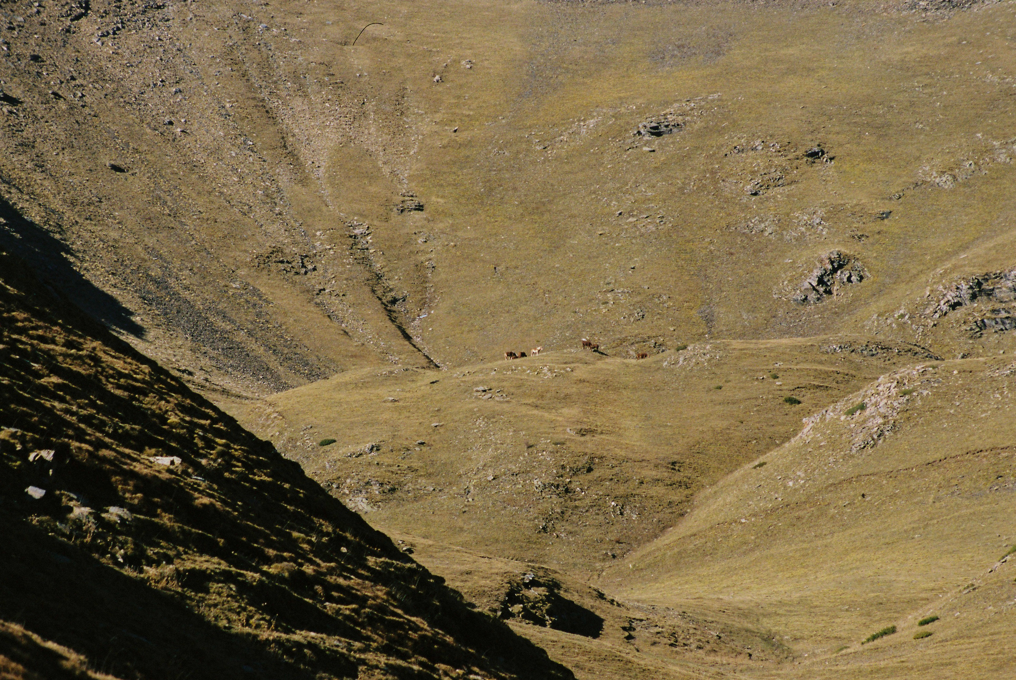 Story for Eldoradoexperience 